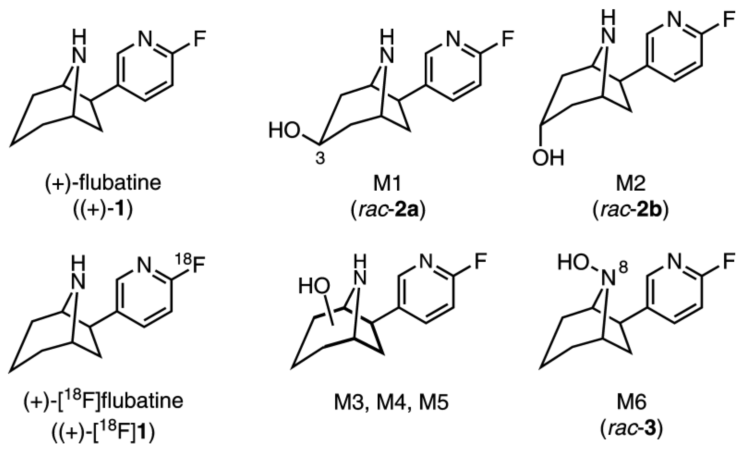 Molecules 23 00464 g001