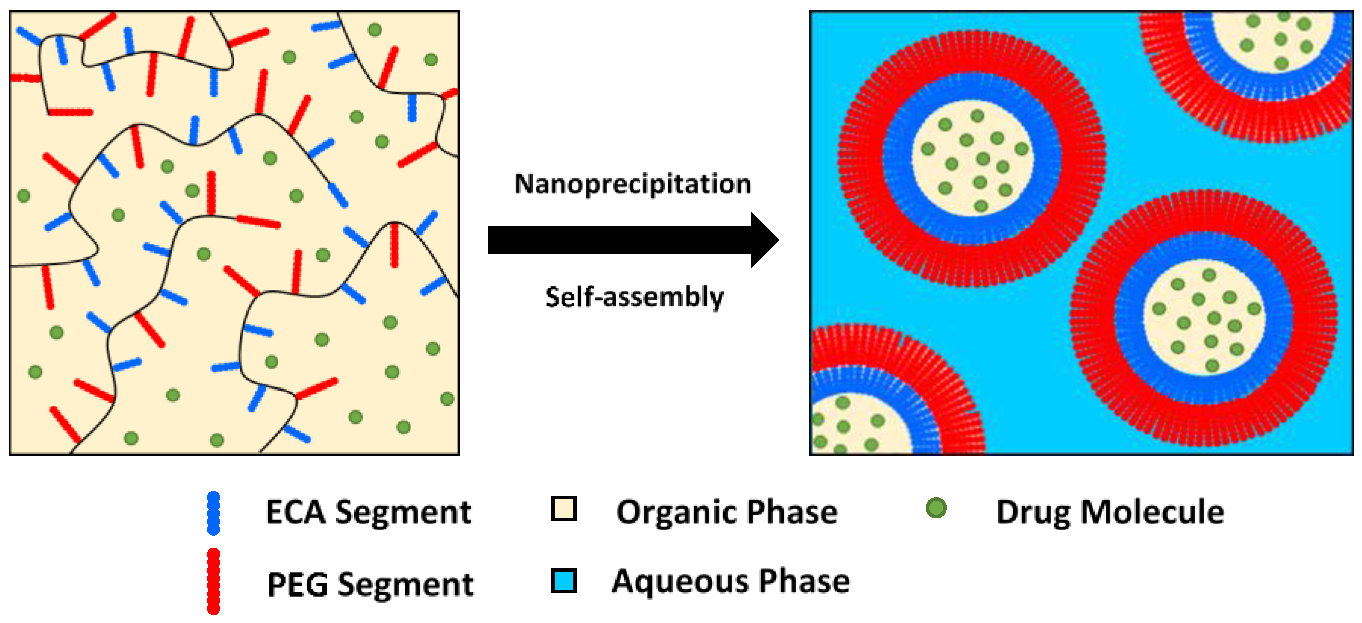 Molecules 23 00465 g003