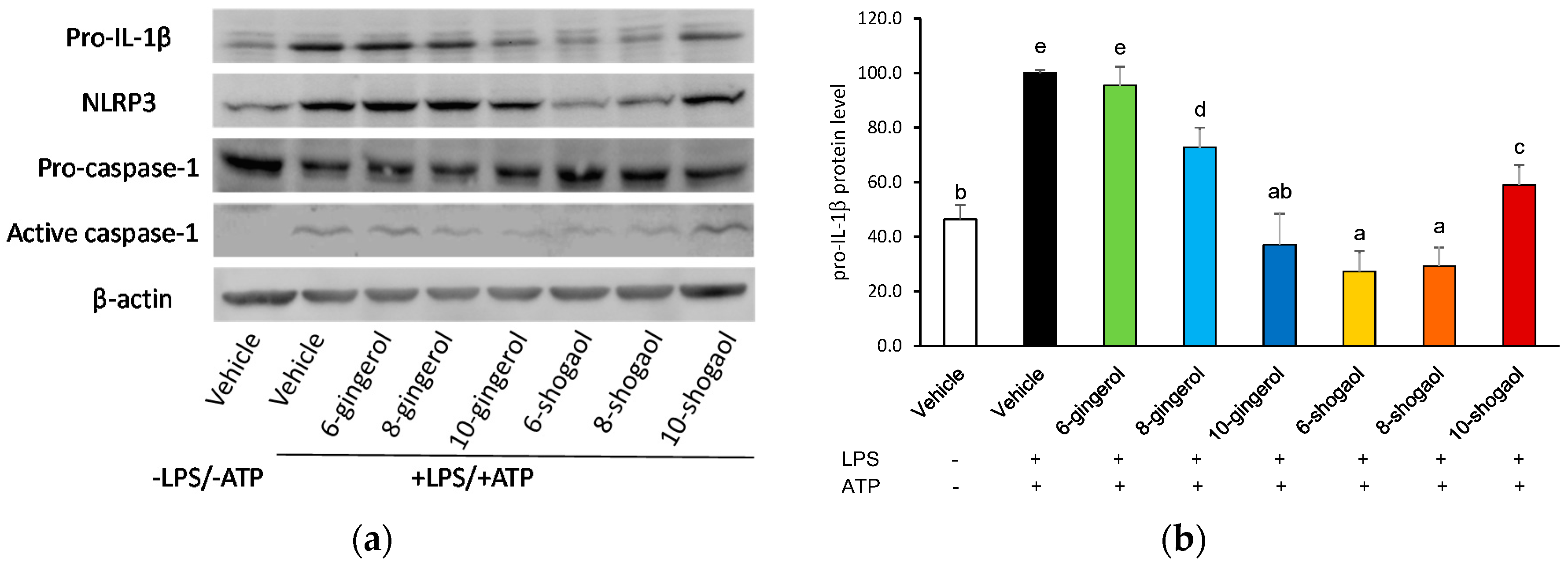 Molecules 23 00466 g003a 550