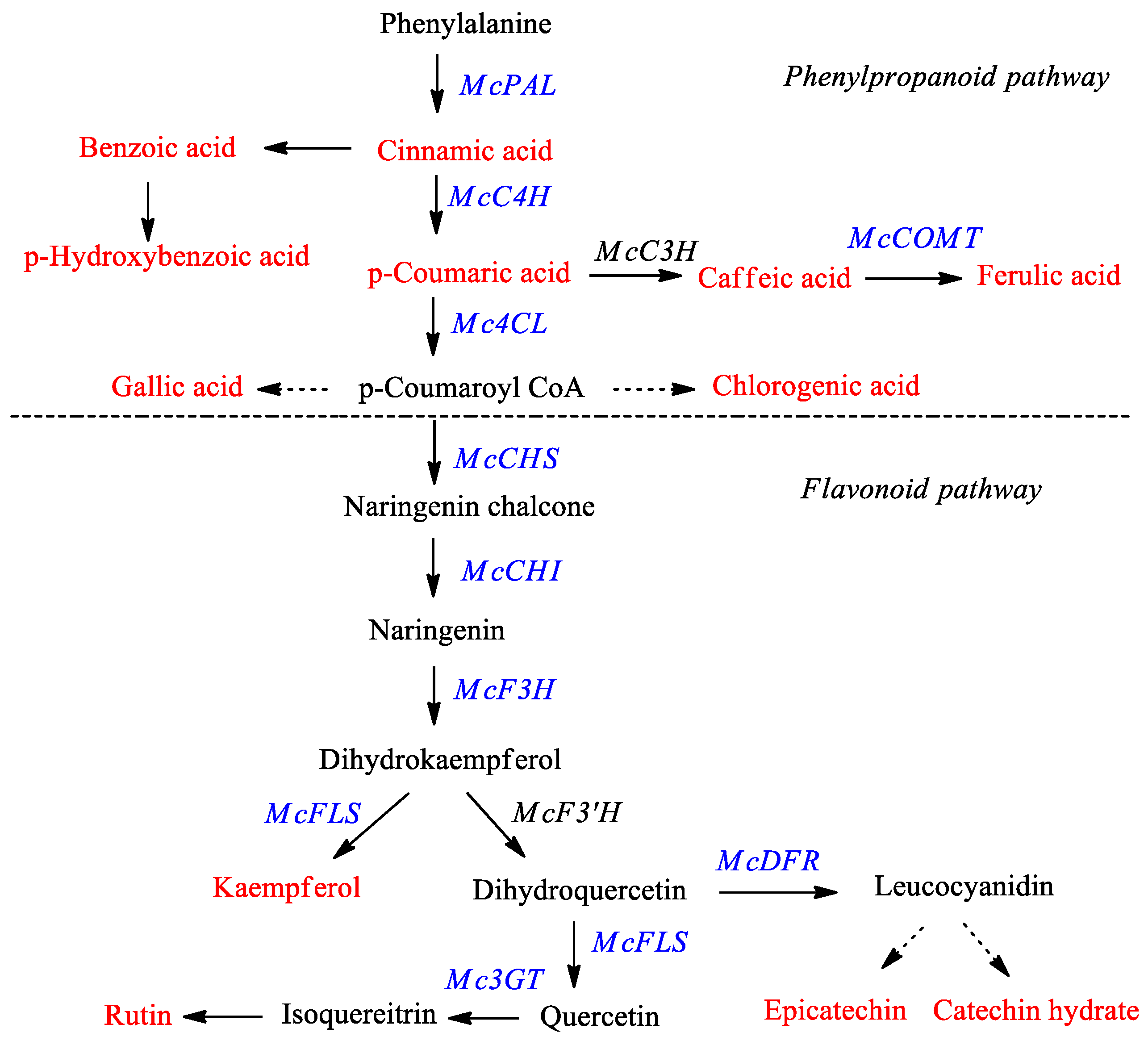 Molecules 23 00469 g001 Molecules 23 00469 g001