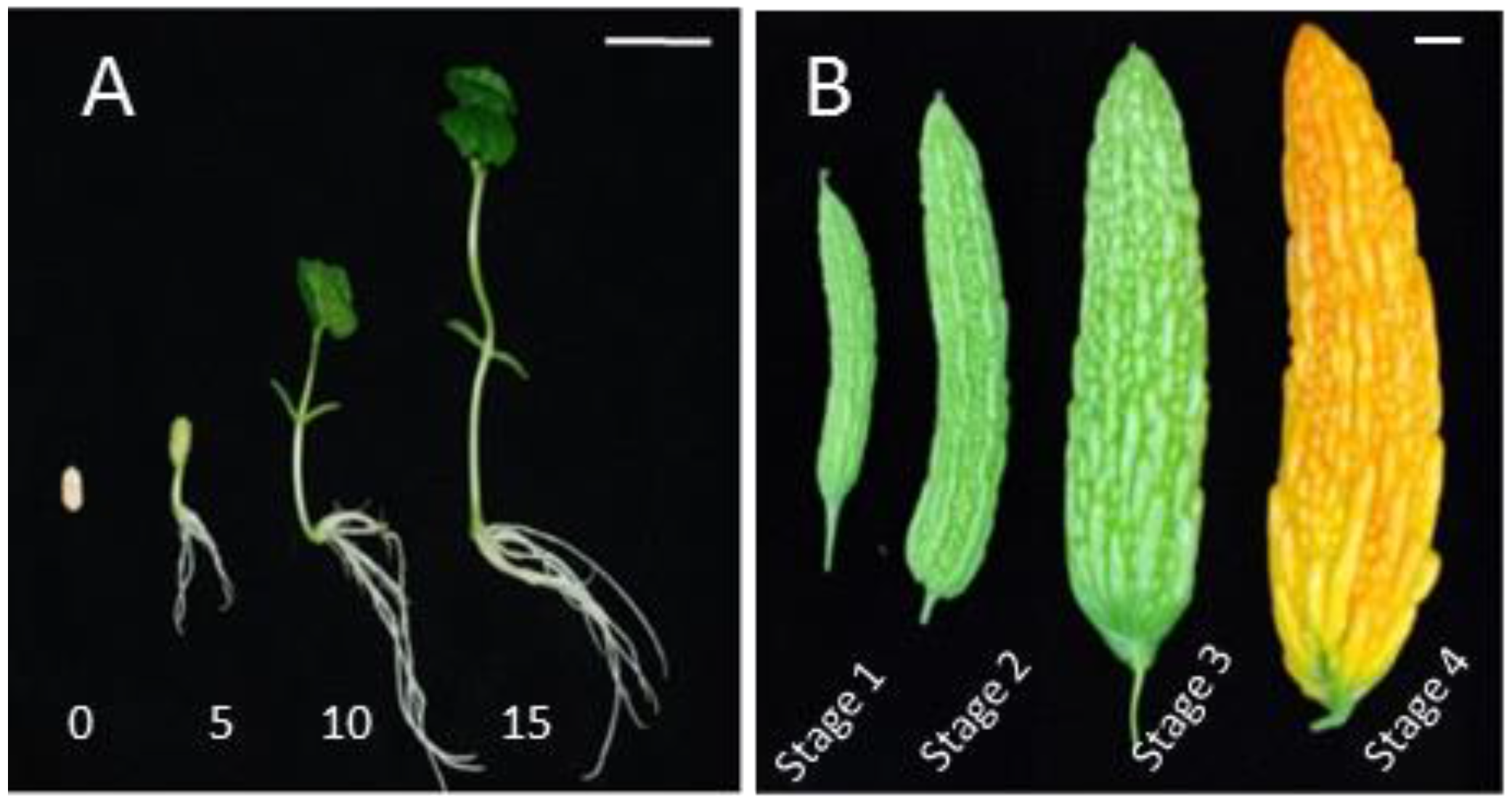 Molecules 23 00469 g005 Molecules 23 00469 g005