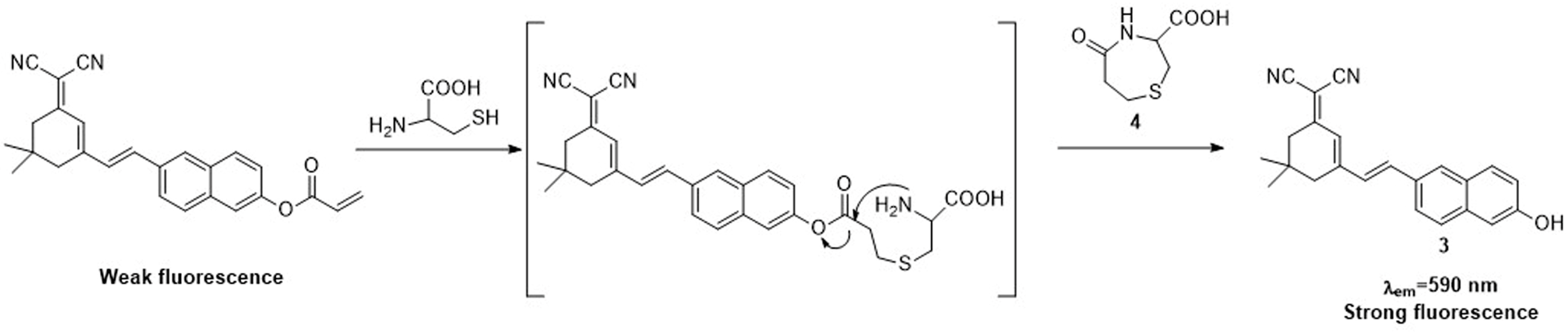 Molecules 23 00475 sch002 550