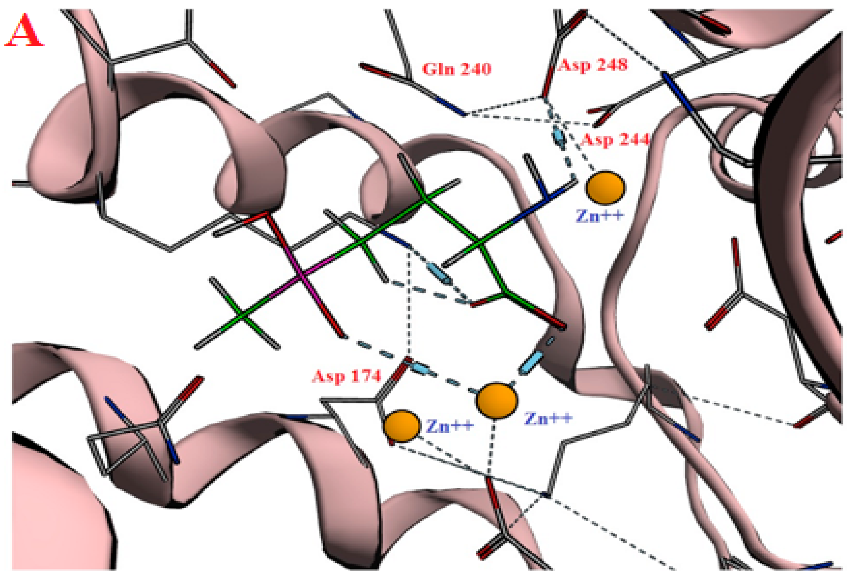 Molecules 23 00496 g002a