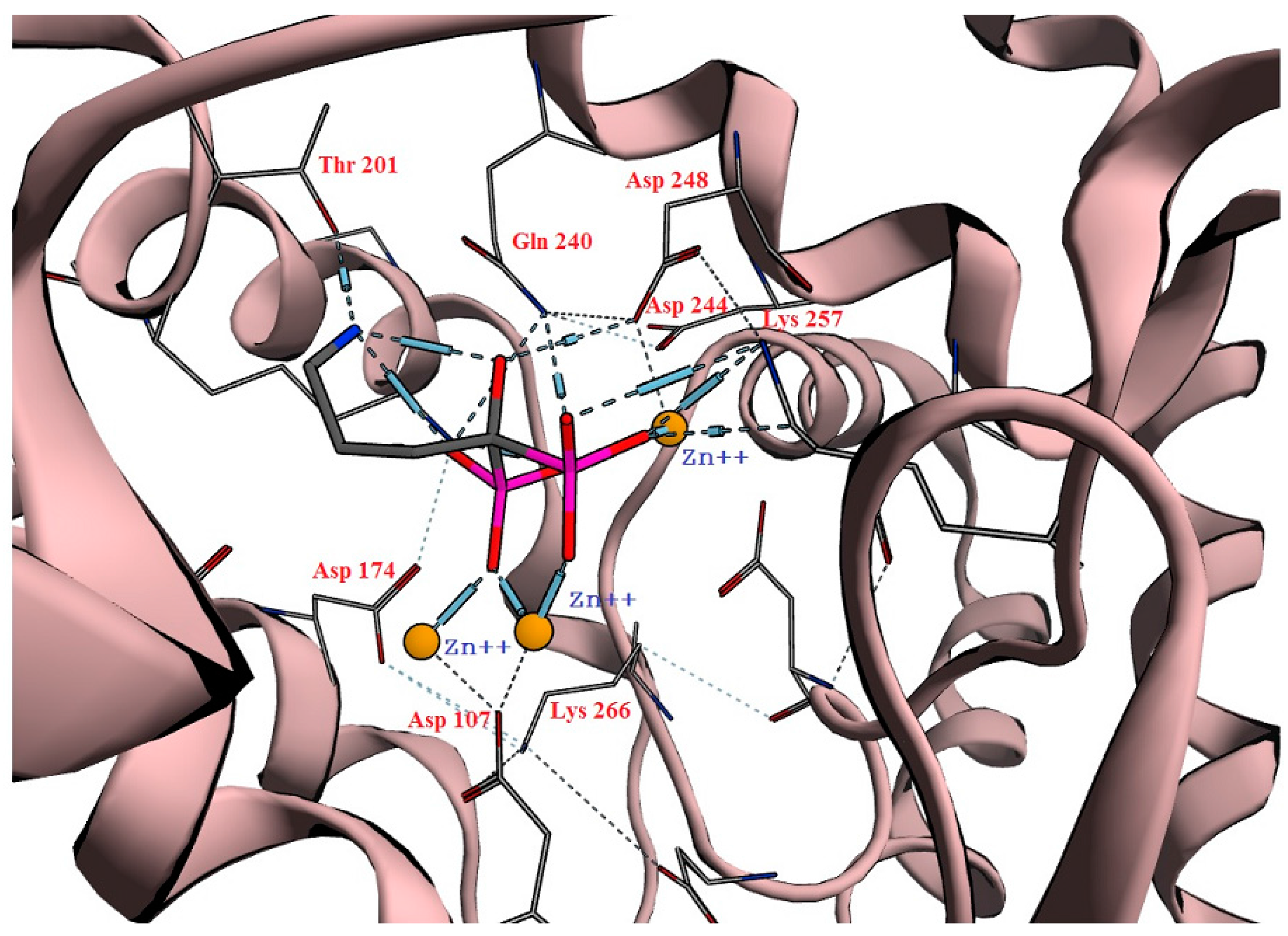 Molecules 23 00496 g003