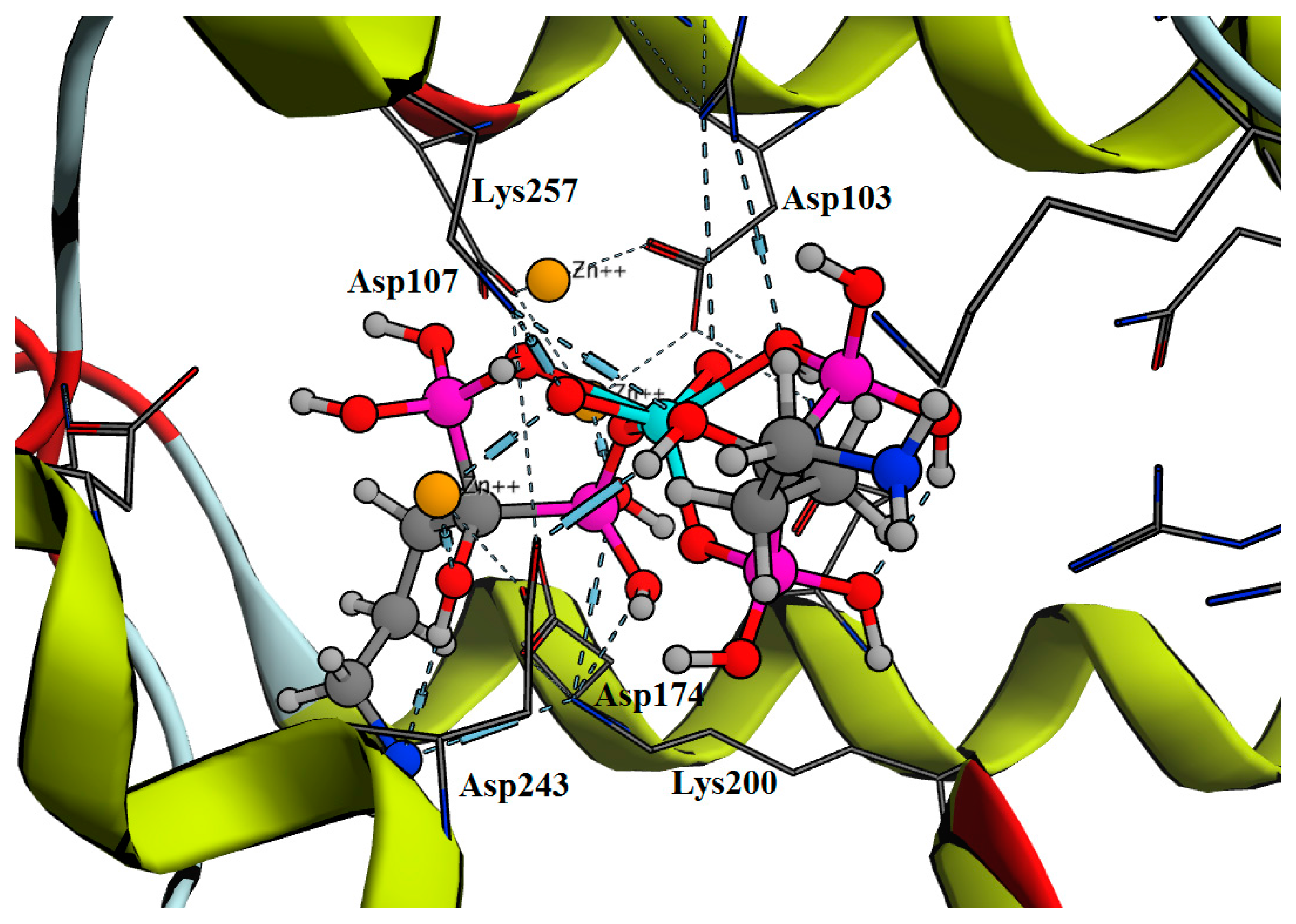 Molecules 23 00496 g005