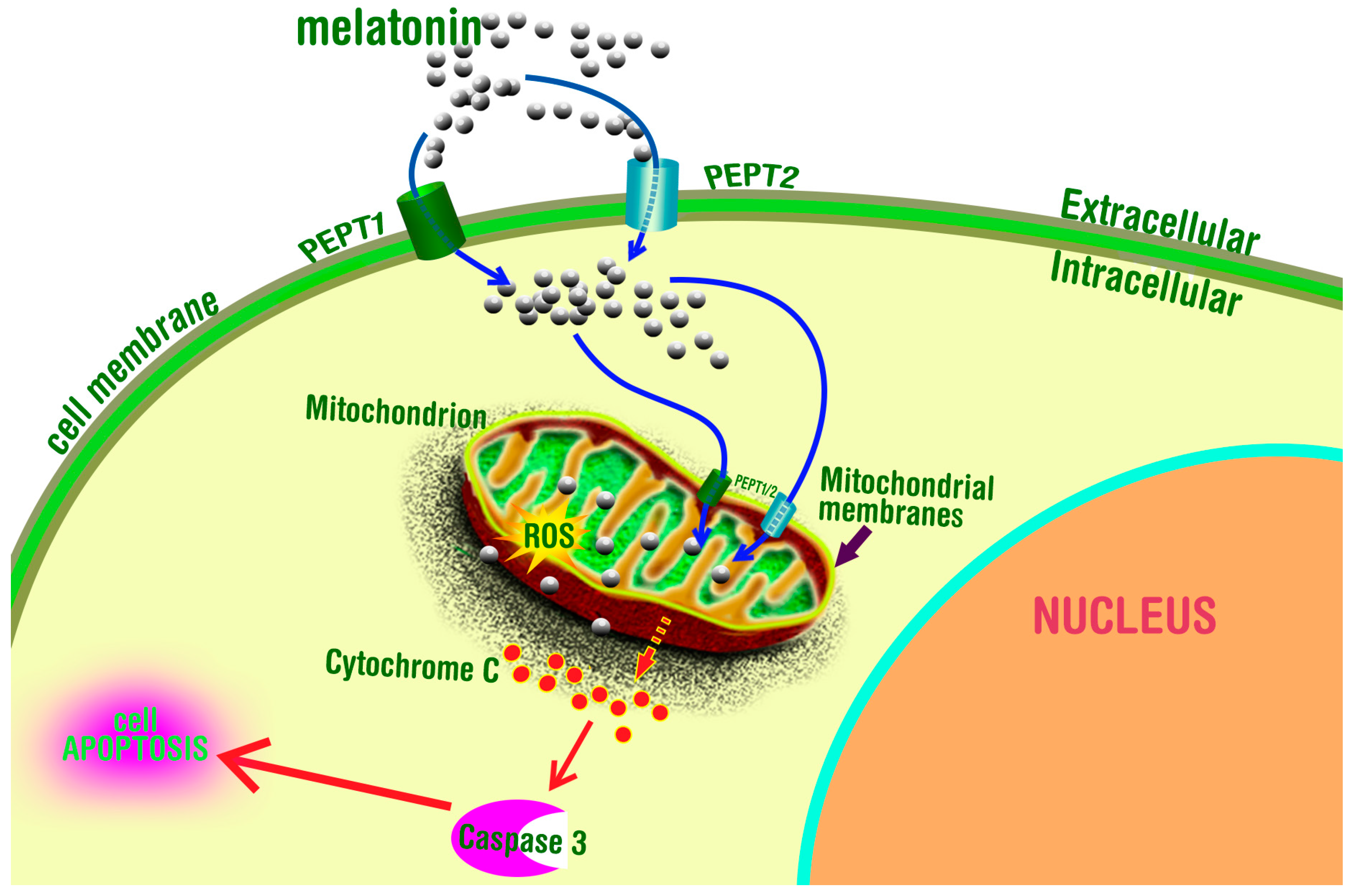 Molecules 23 00509 g004