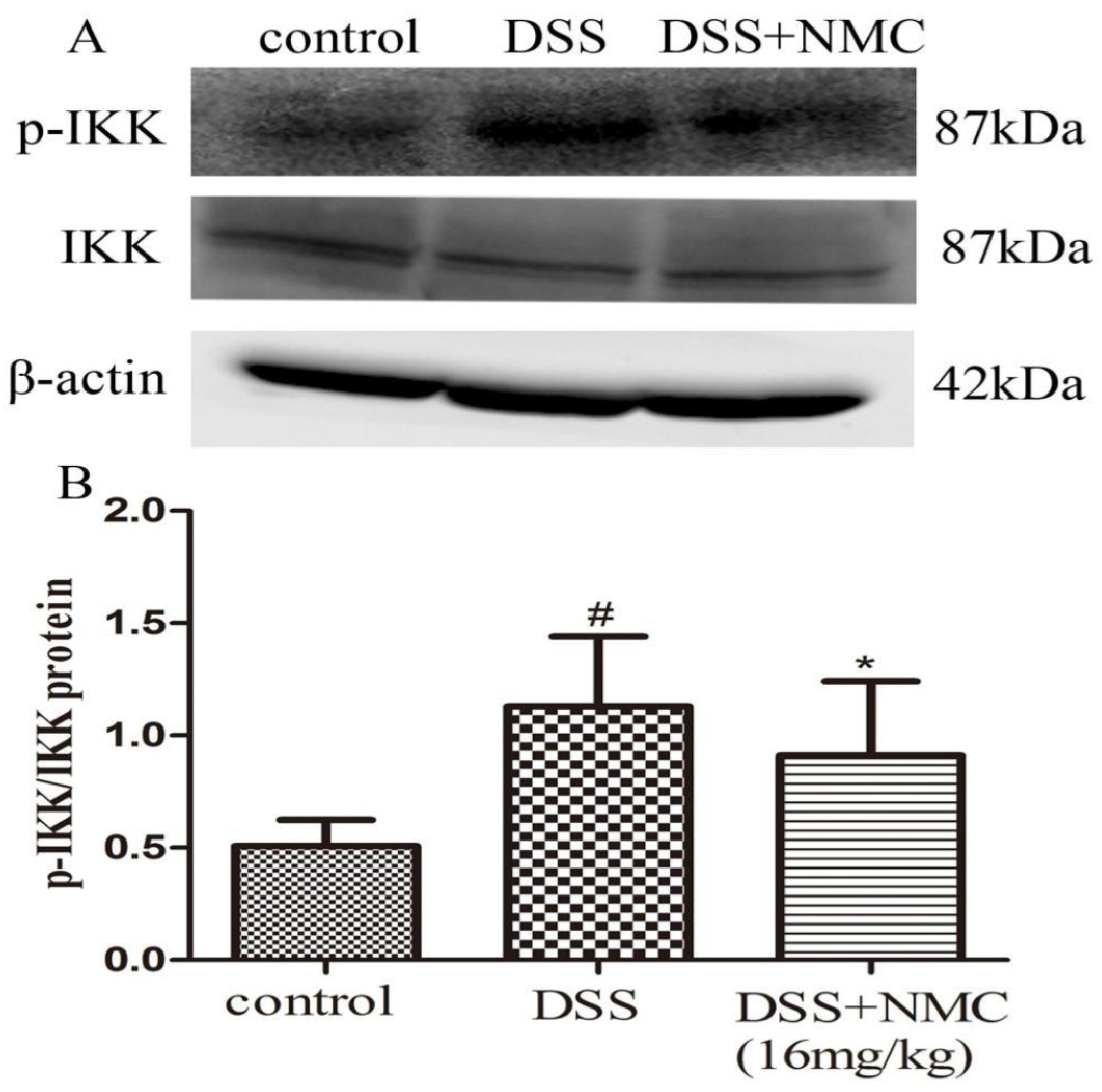 Molecules 23 00510 g006