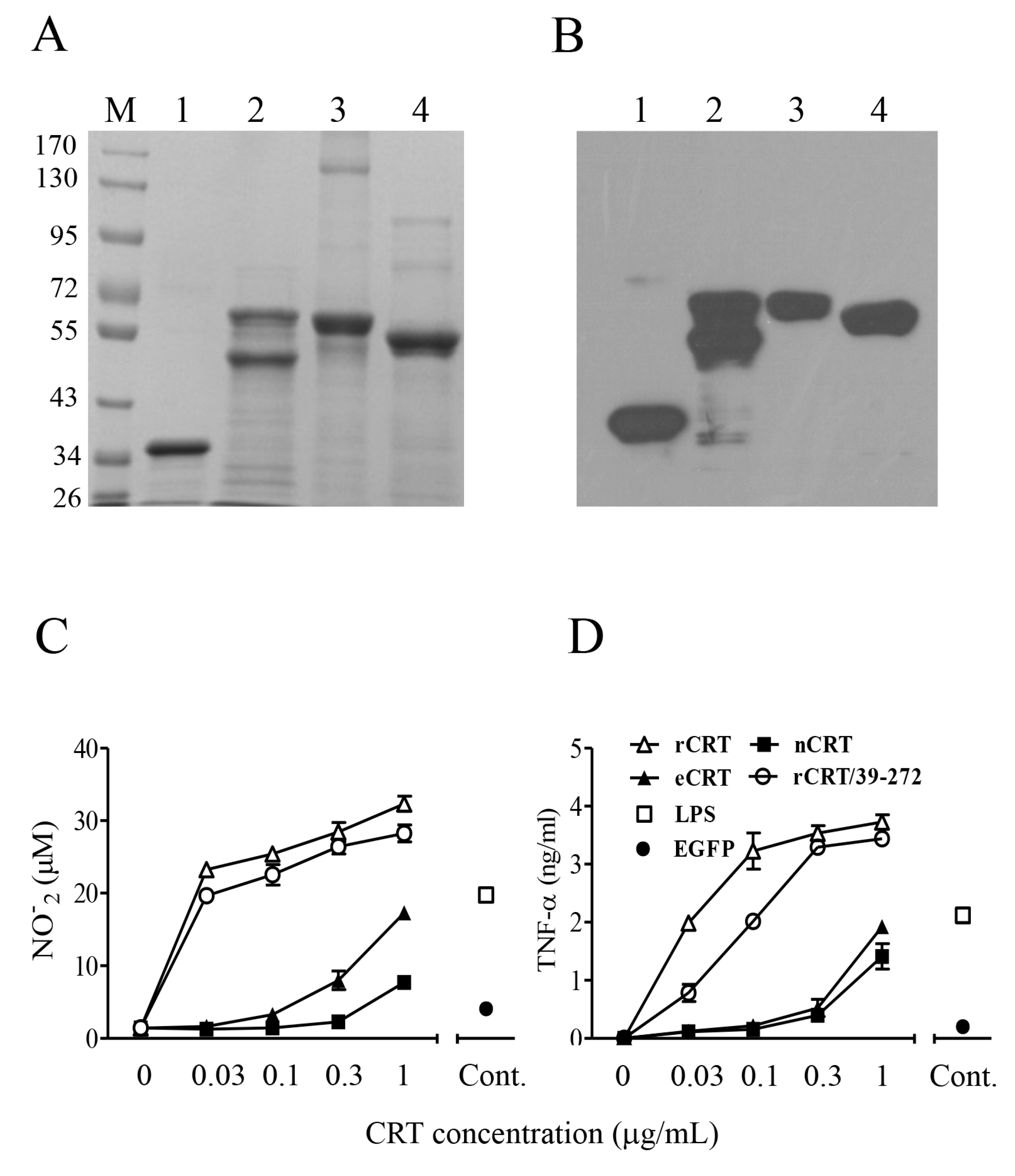 Molecules 23 00523 g001