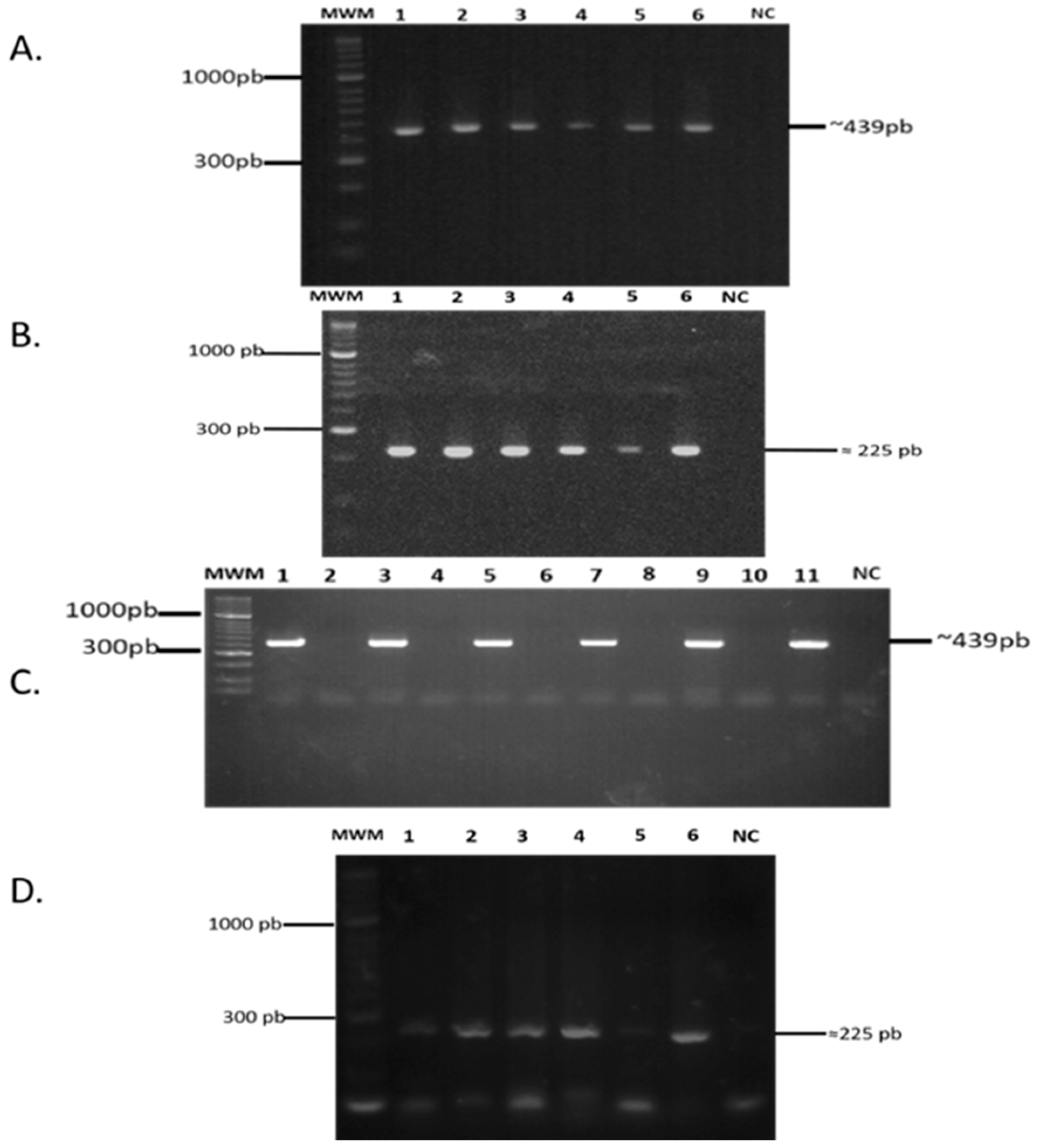 Molecules 23 00526 g001 Molecules 23 00526 g001