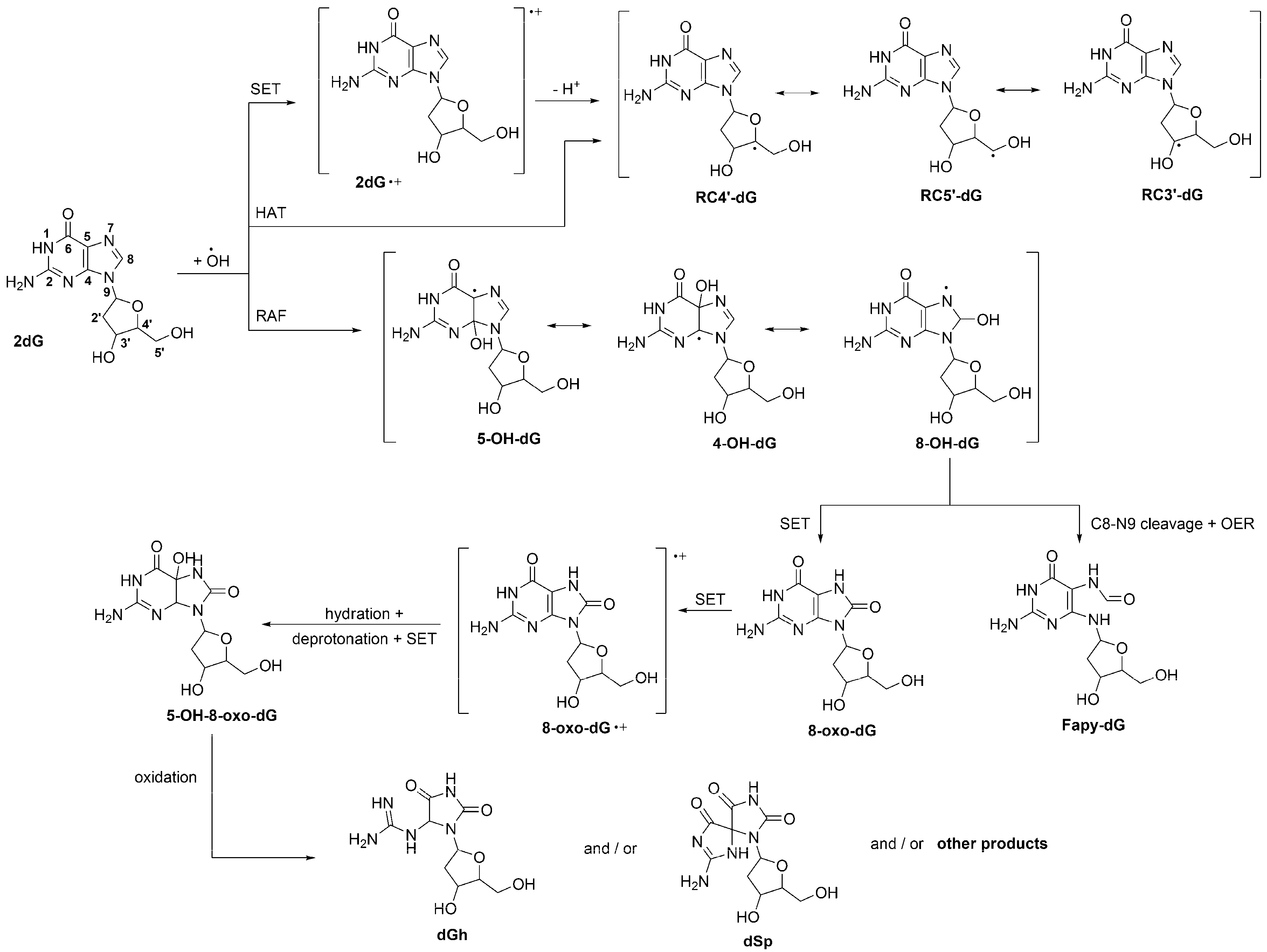Molecules 23 00530 sch001