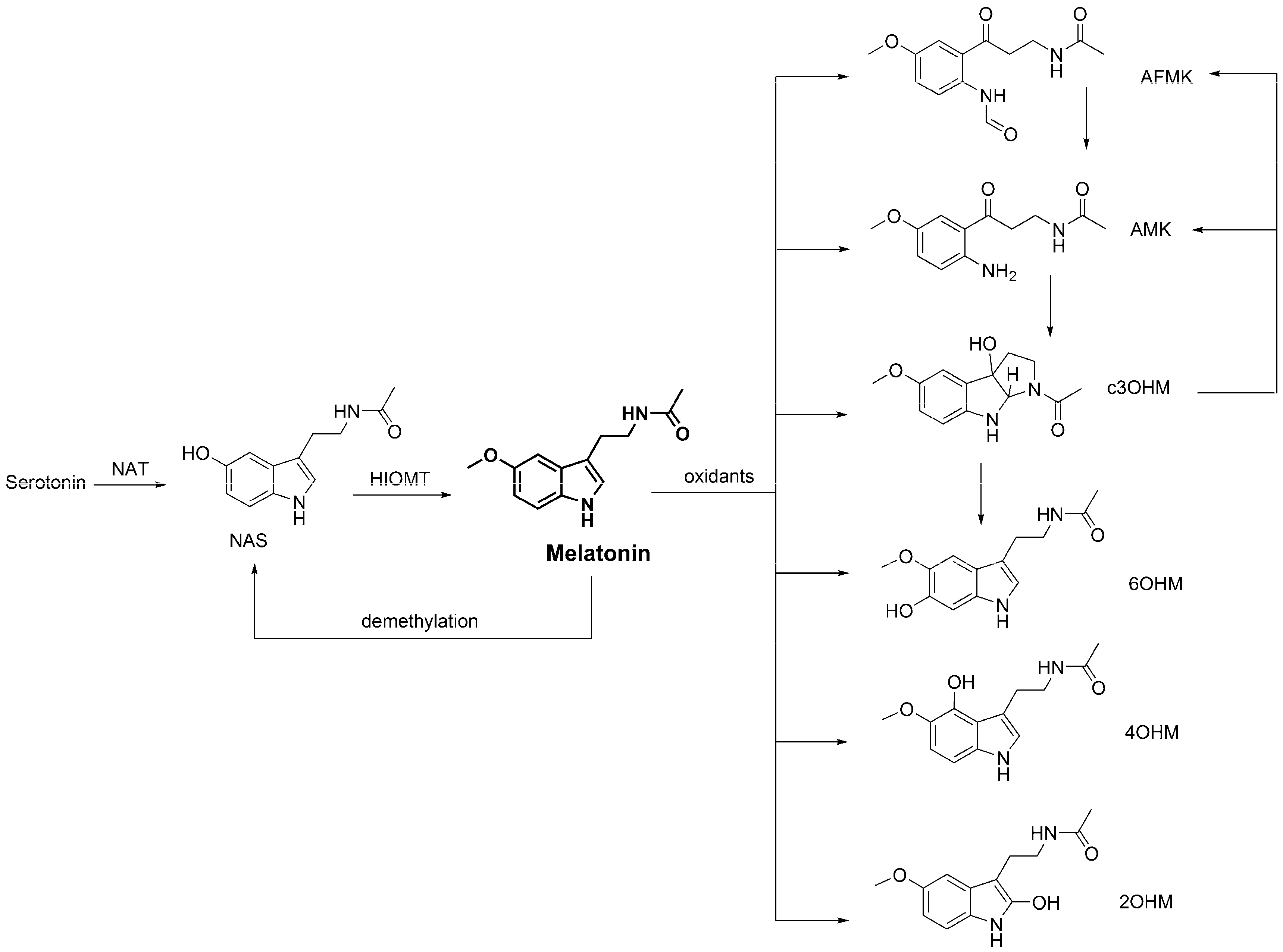 Molecules 23 00530 sch005