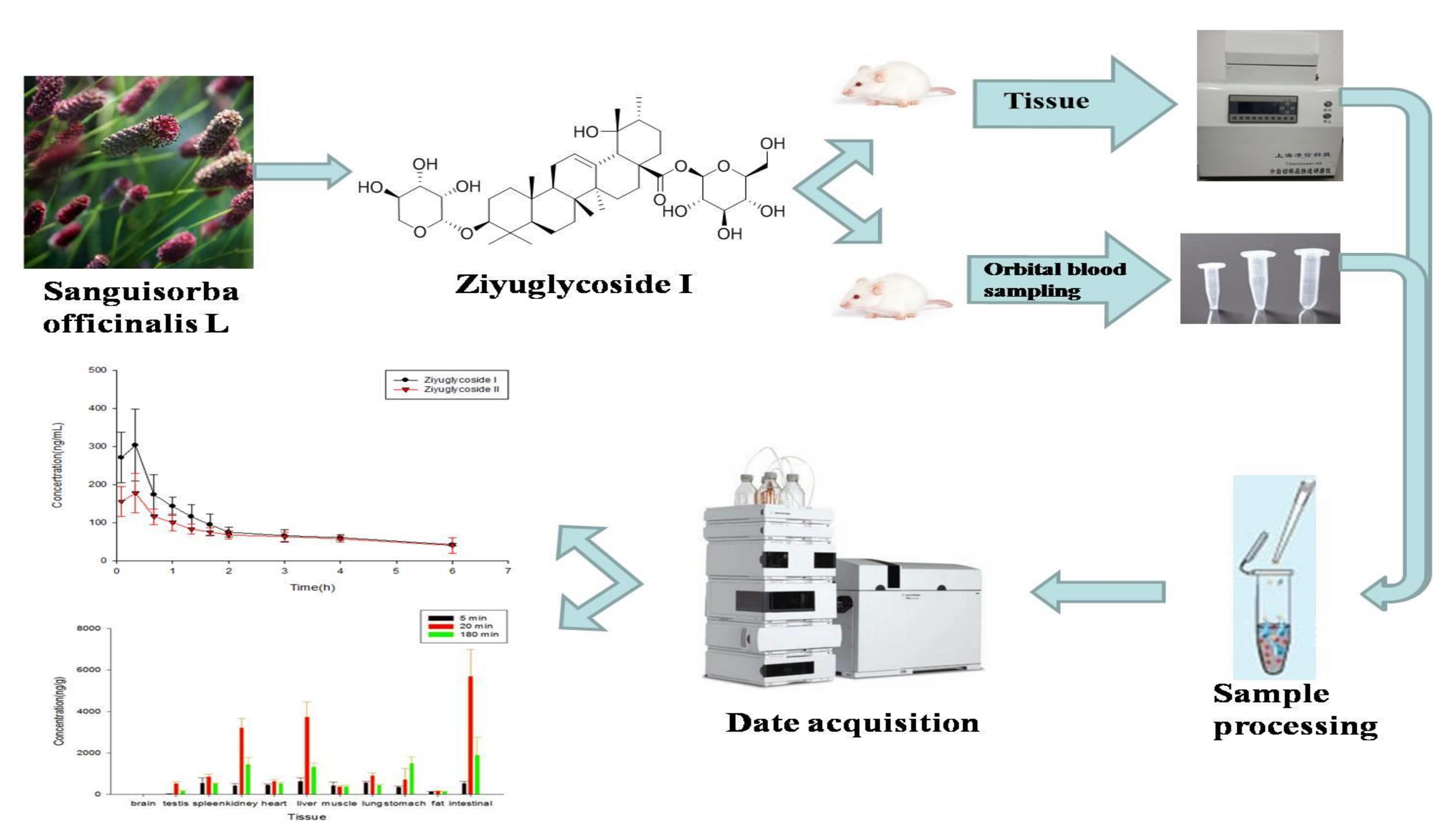 Molecules Free FullText A Sample and Sensitive HPLCMS/MS Method