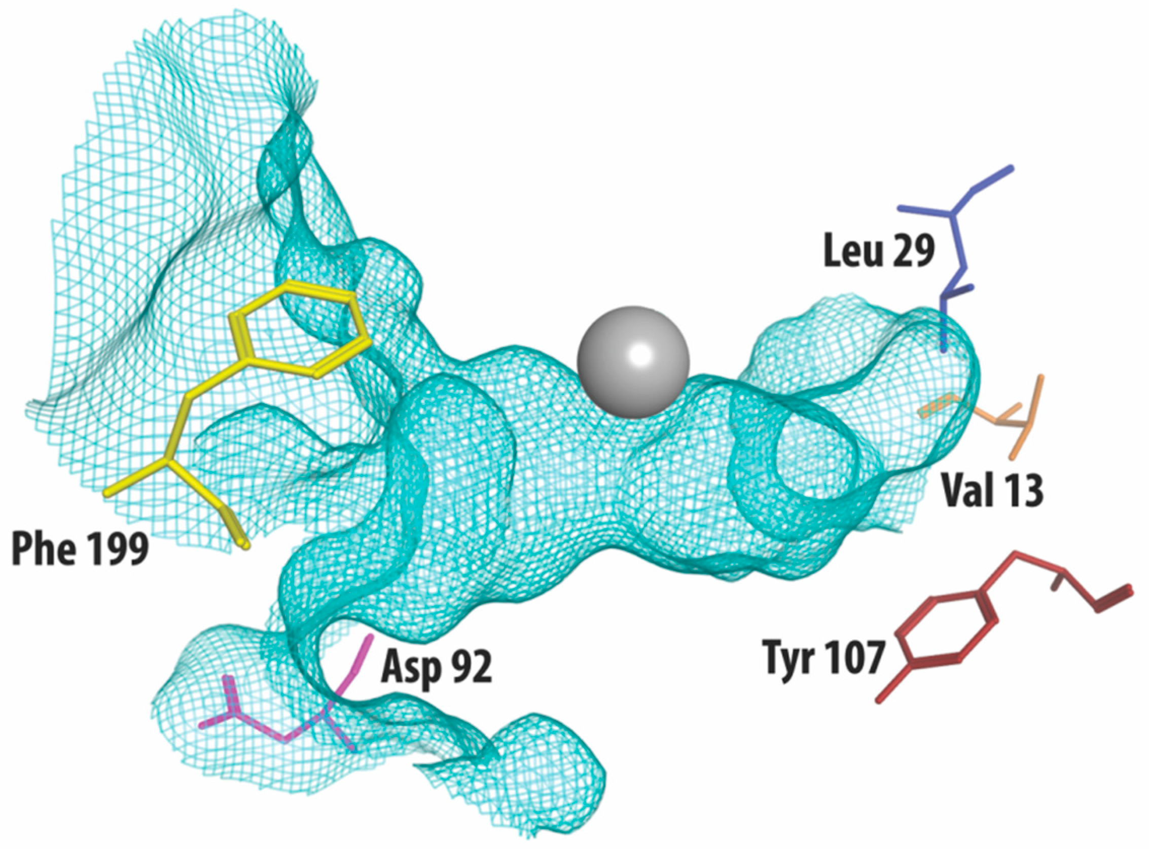 Molecules 23 00551 g001