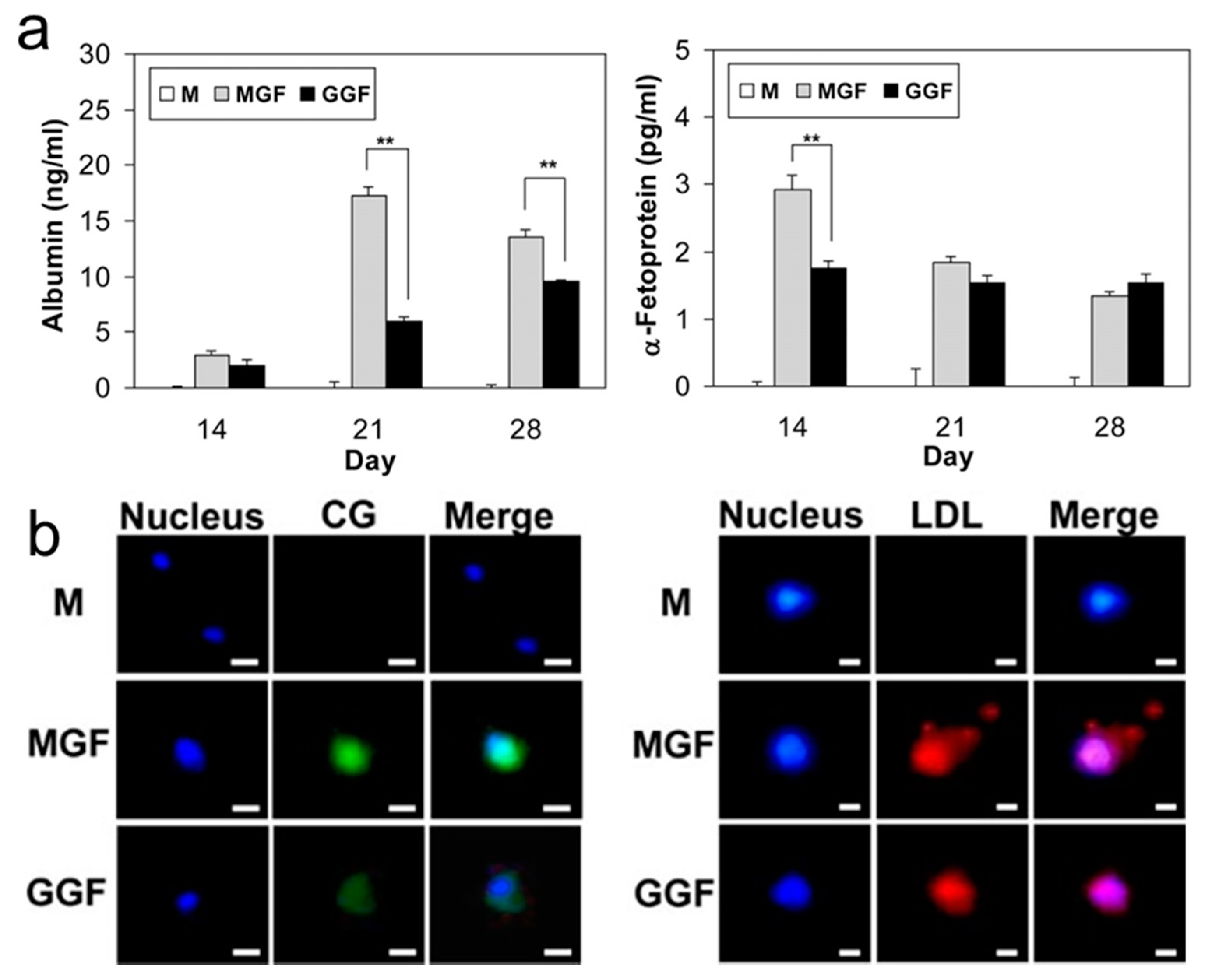 Molecules 23 00553 g007