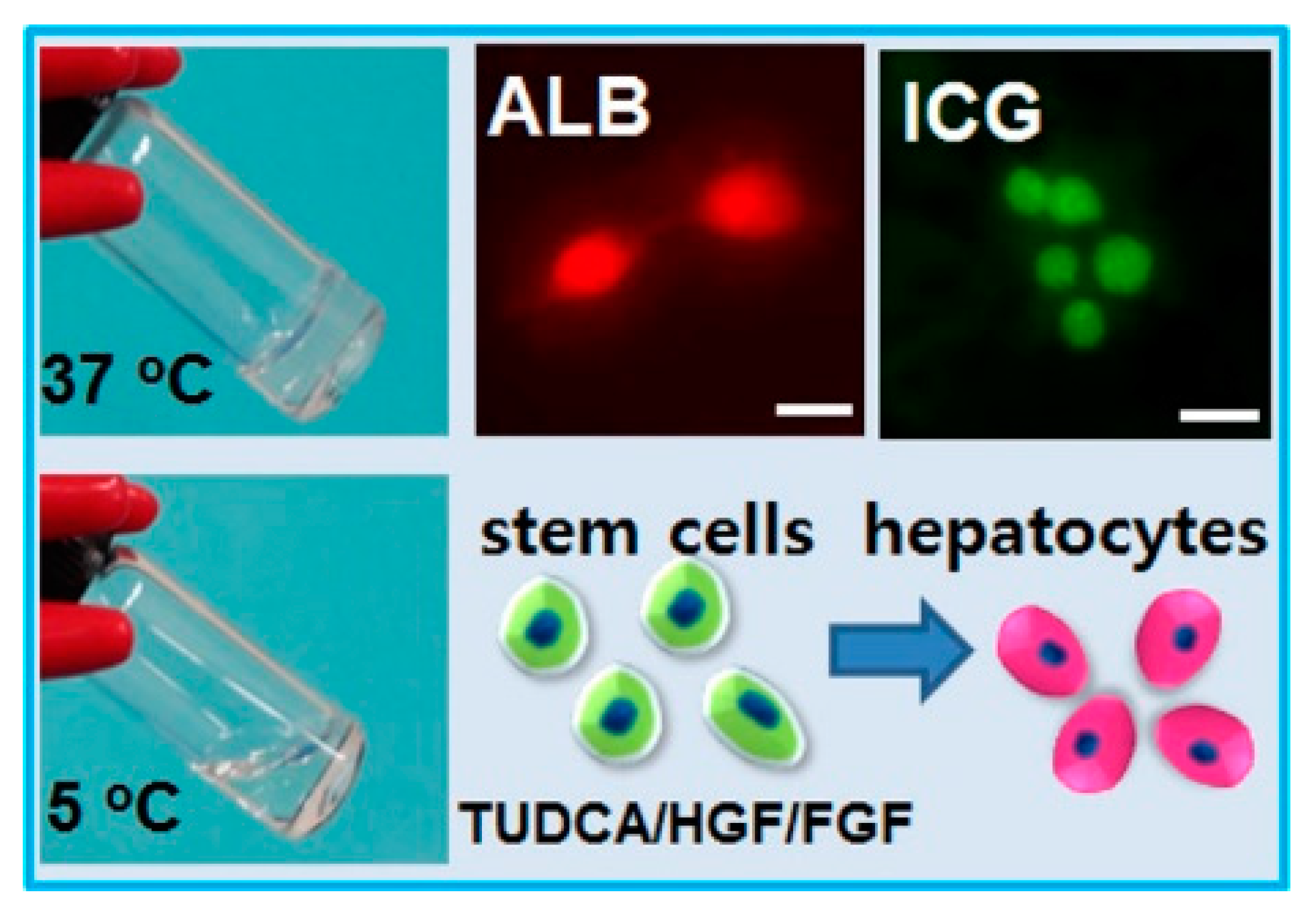 Molecules 23 00553 g008