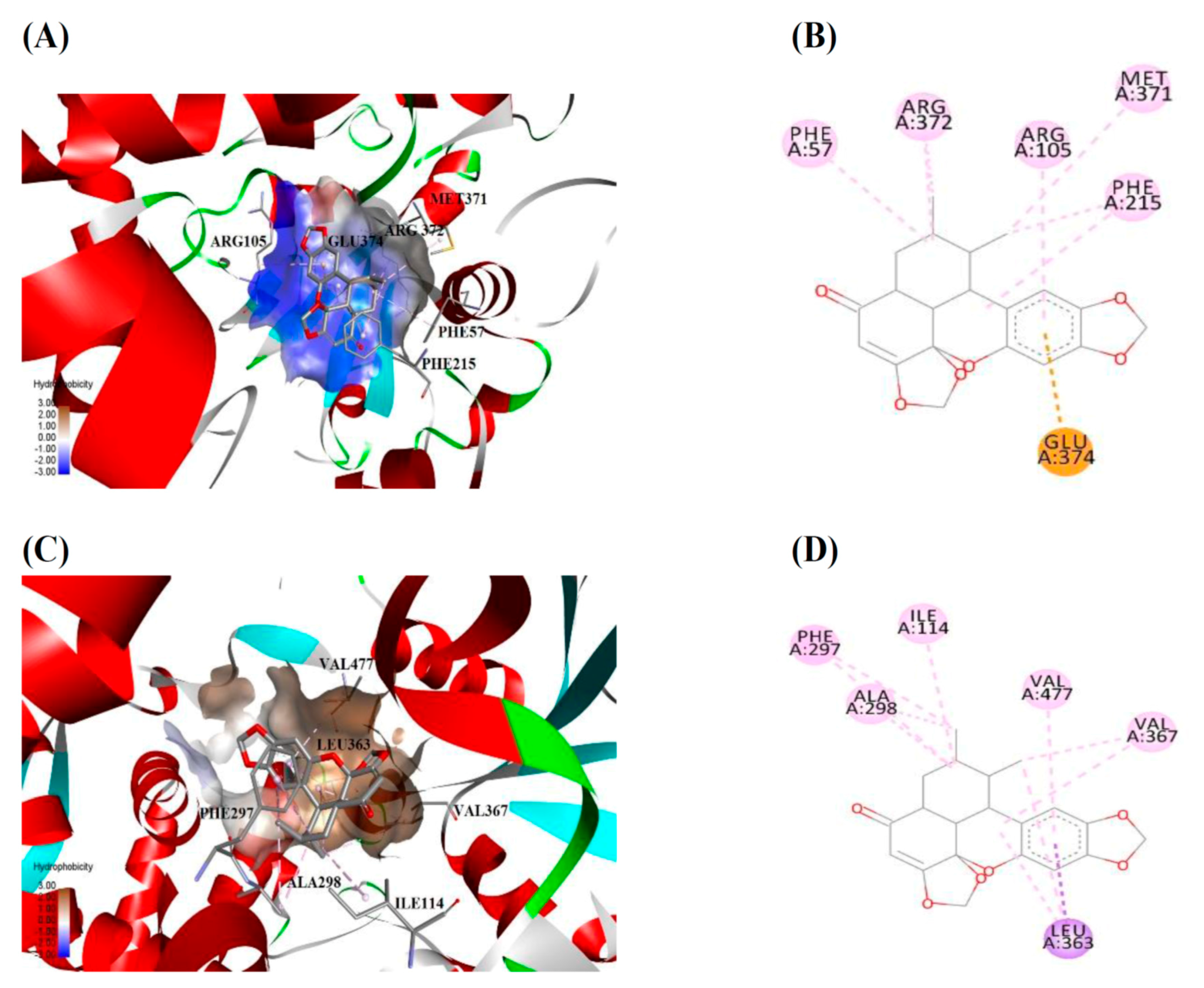 Molecules 23 00555 g004a