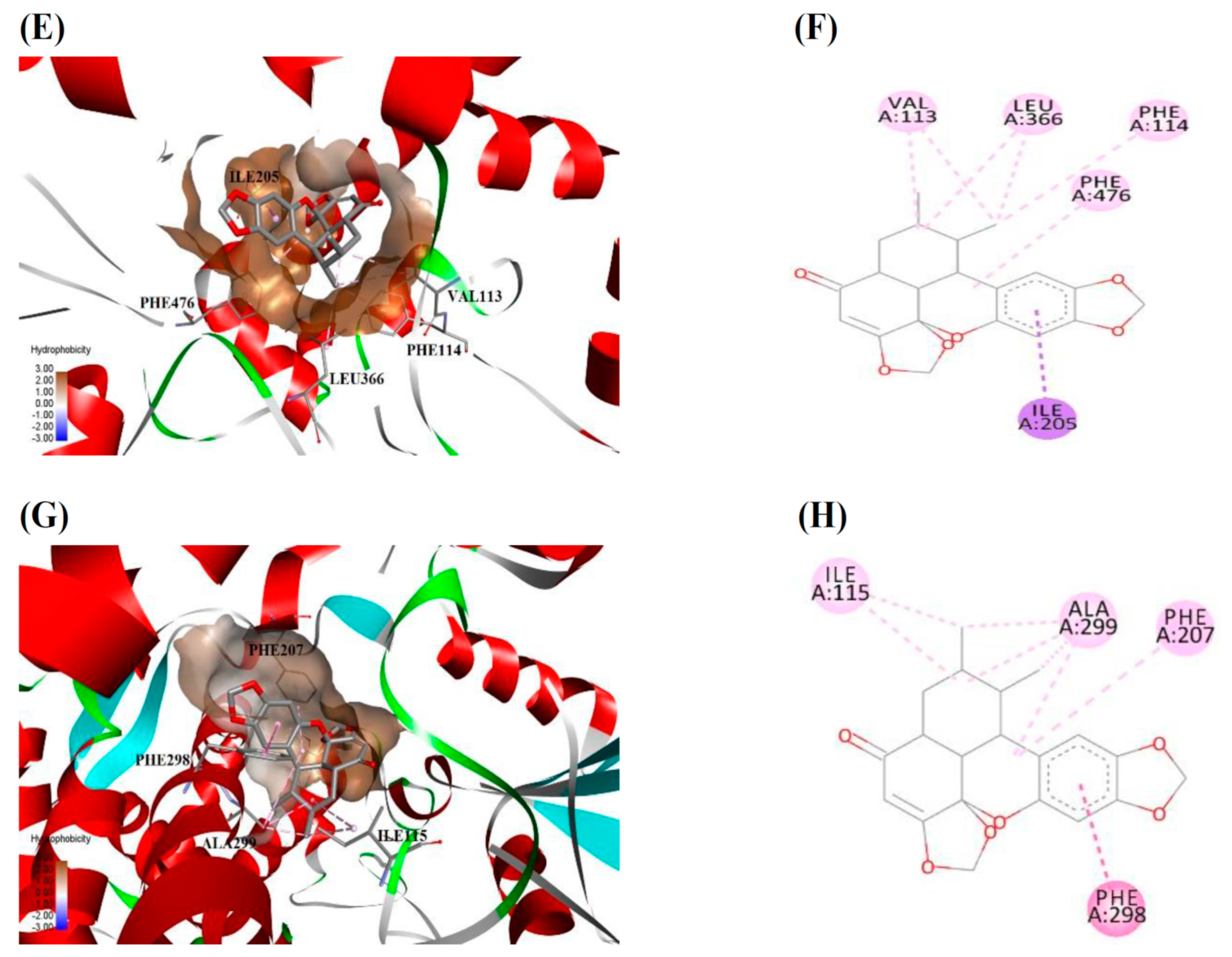 Molecules 23 00555 g004b