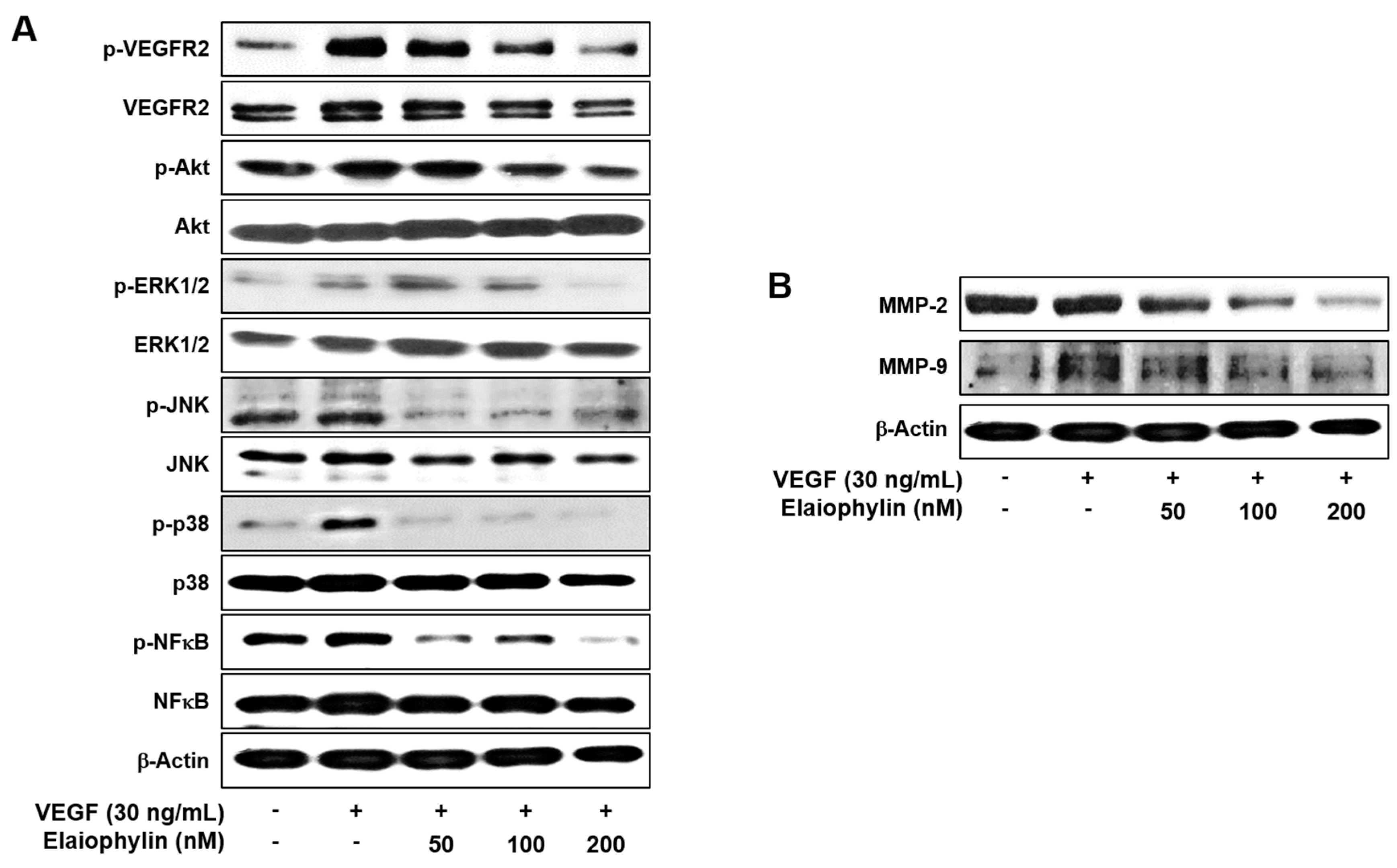 Molecules 23 00563 g004