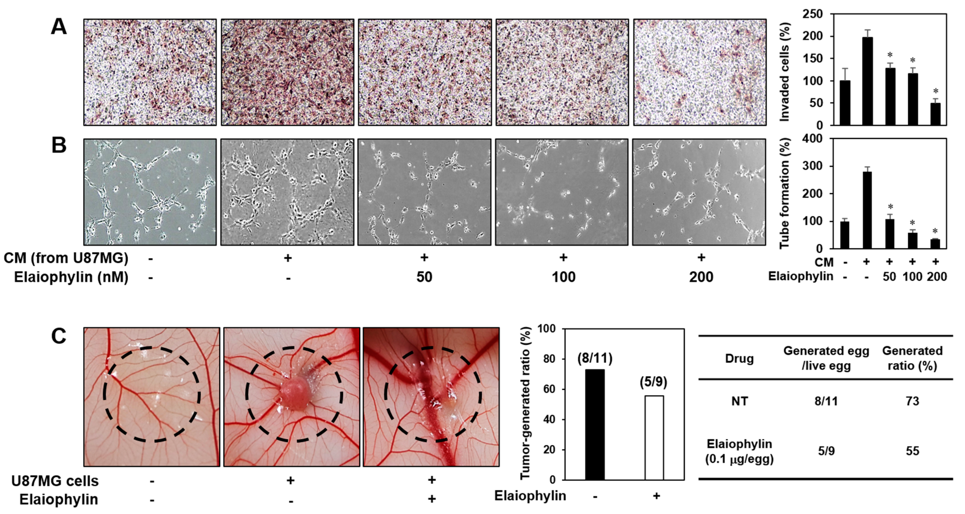 Molecules 23 00563 g005
