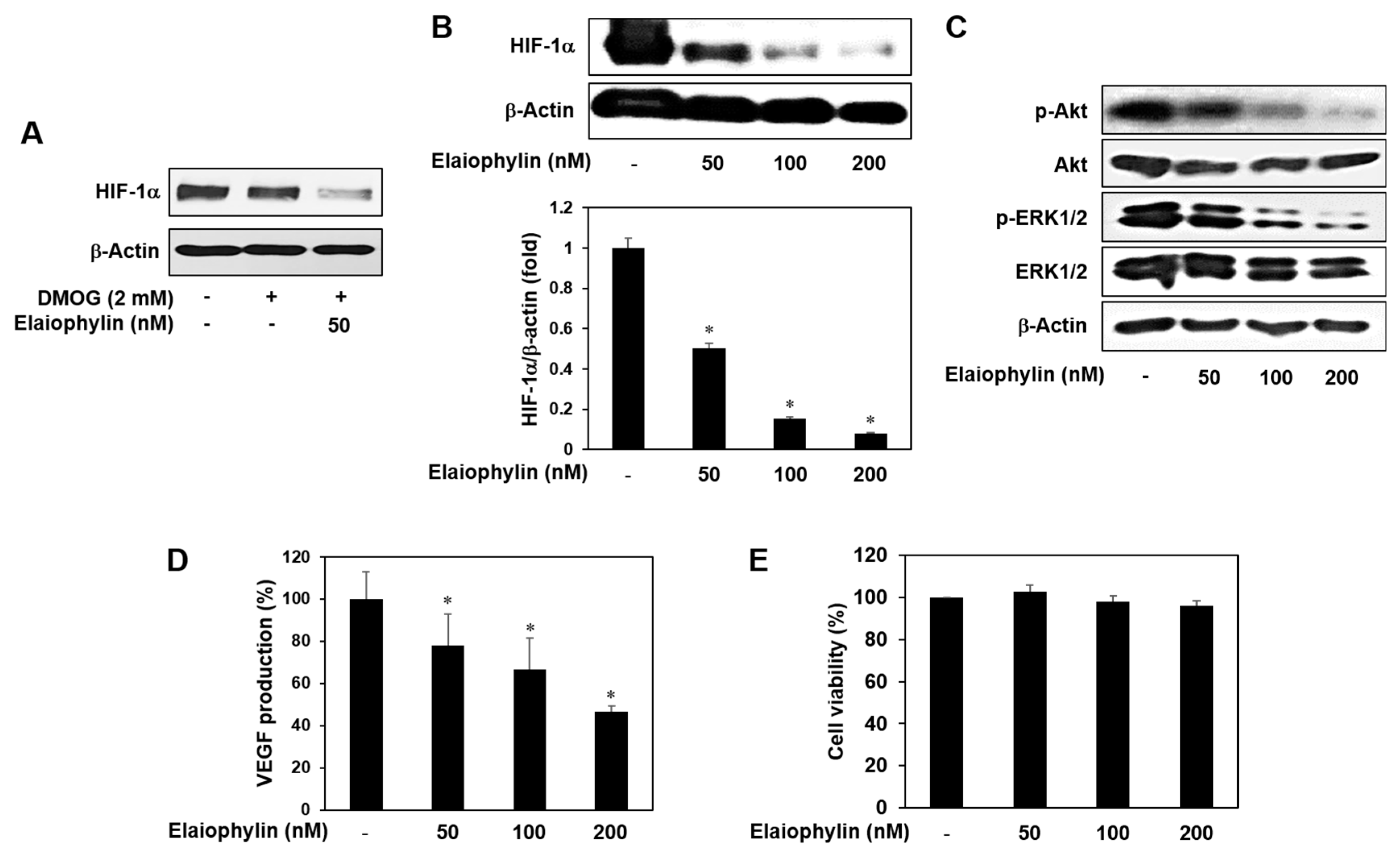 Molecules 23 00563 g006