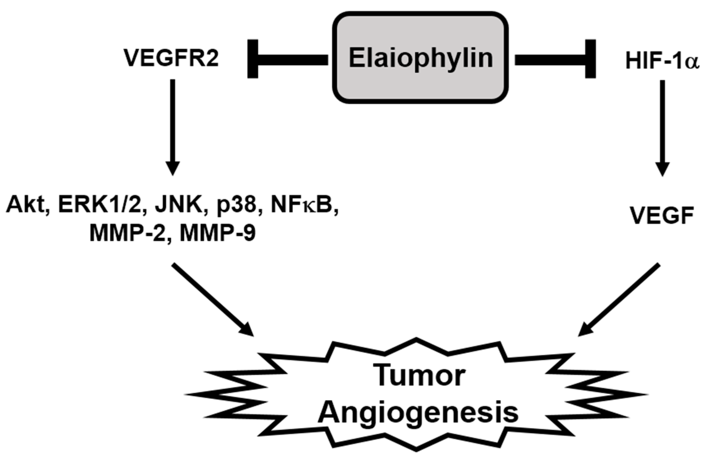 Molecules 23 00563 g007