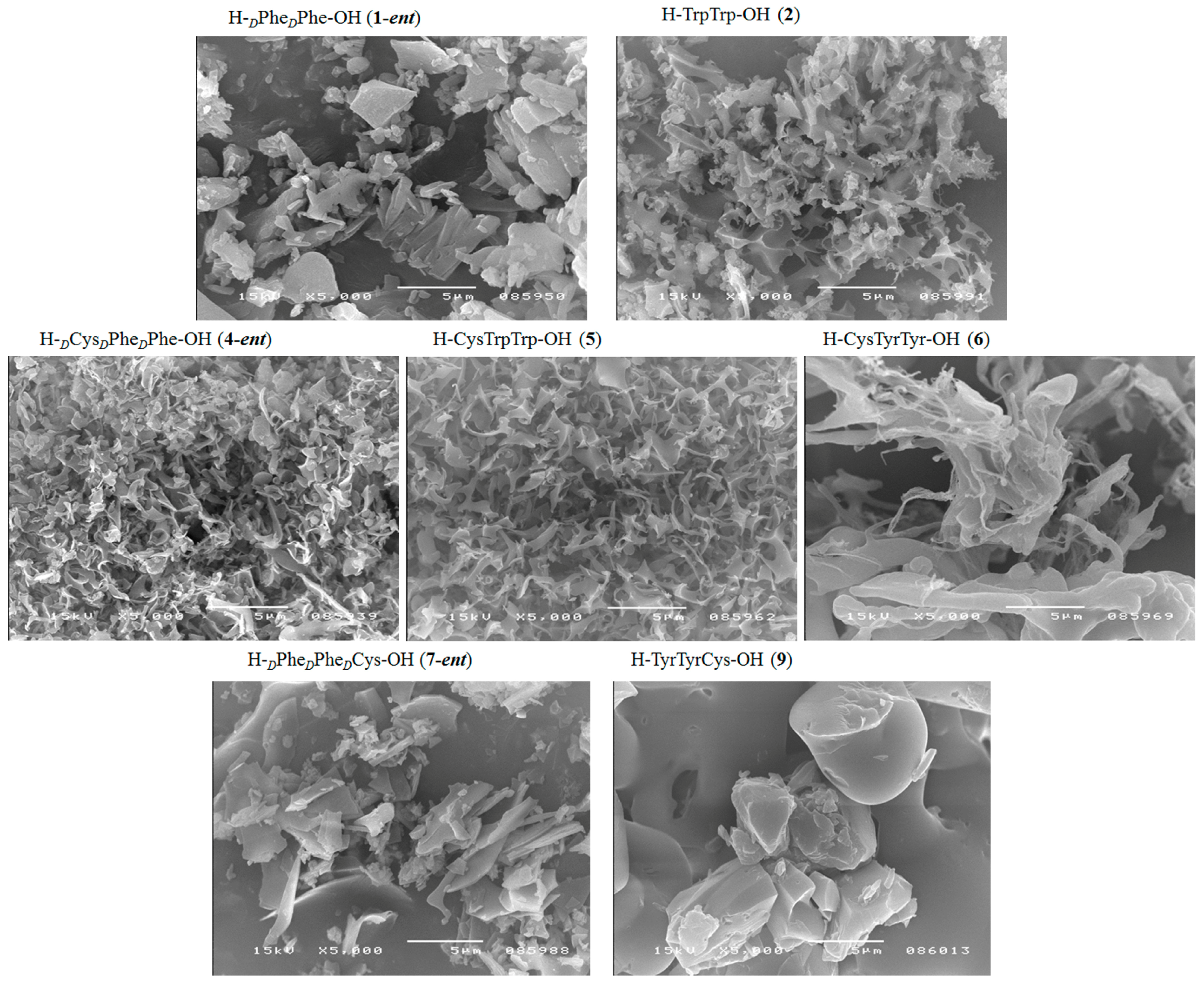 Molecules 23 00568 g007a