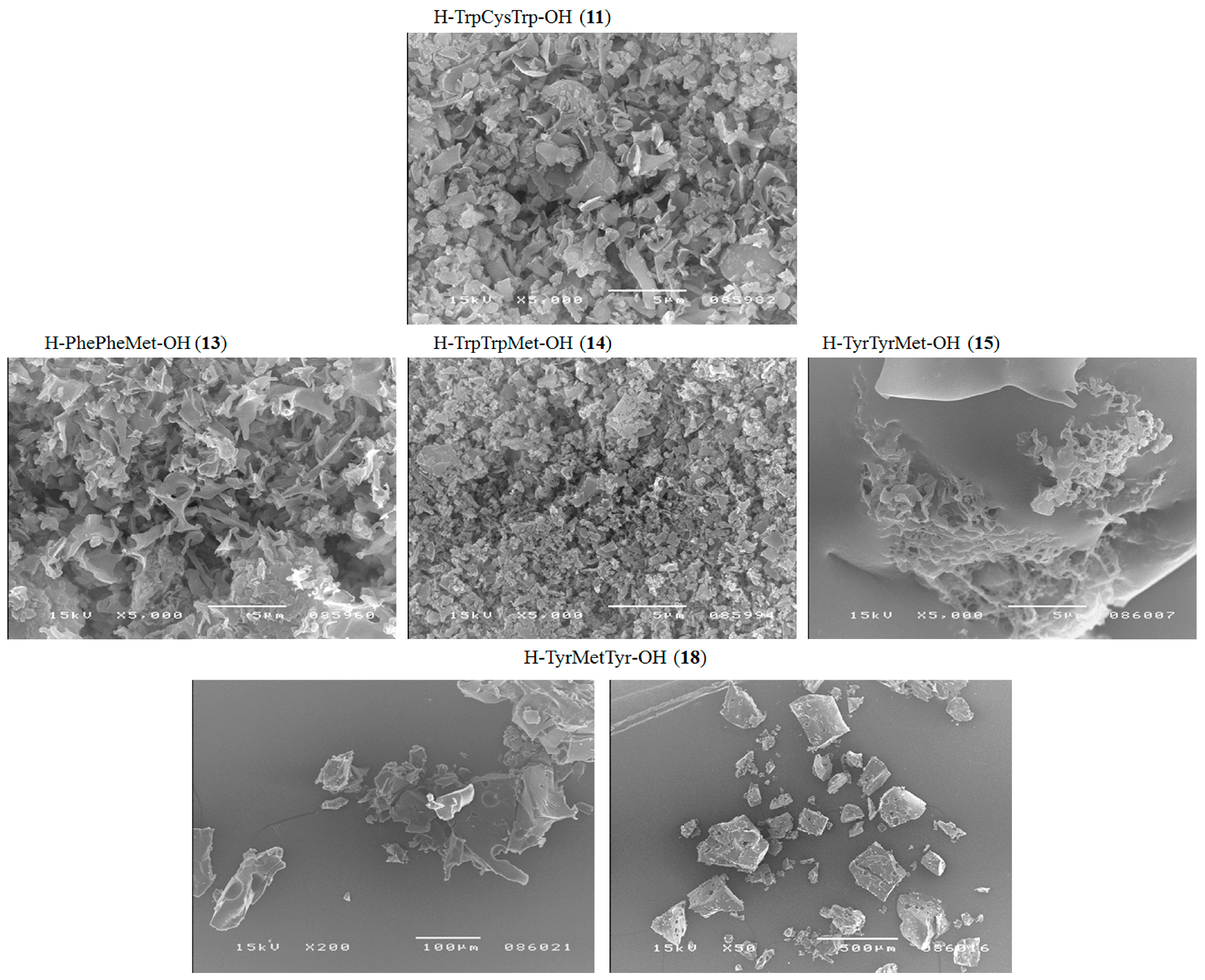 Molecules 23 00568 g007b
