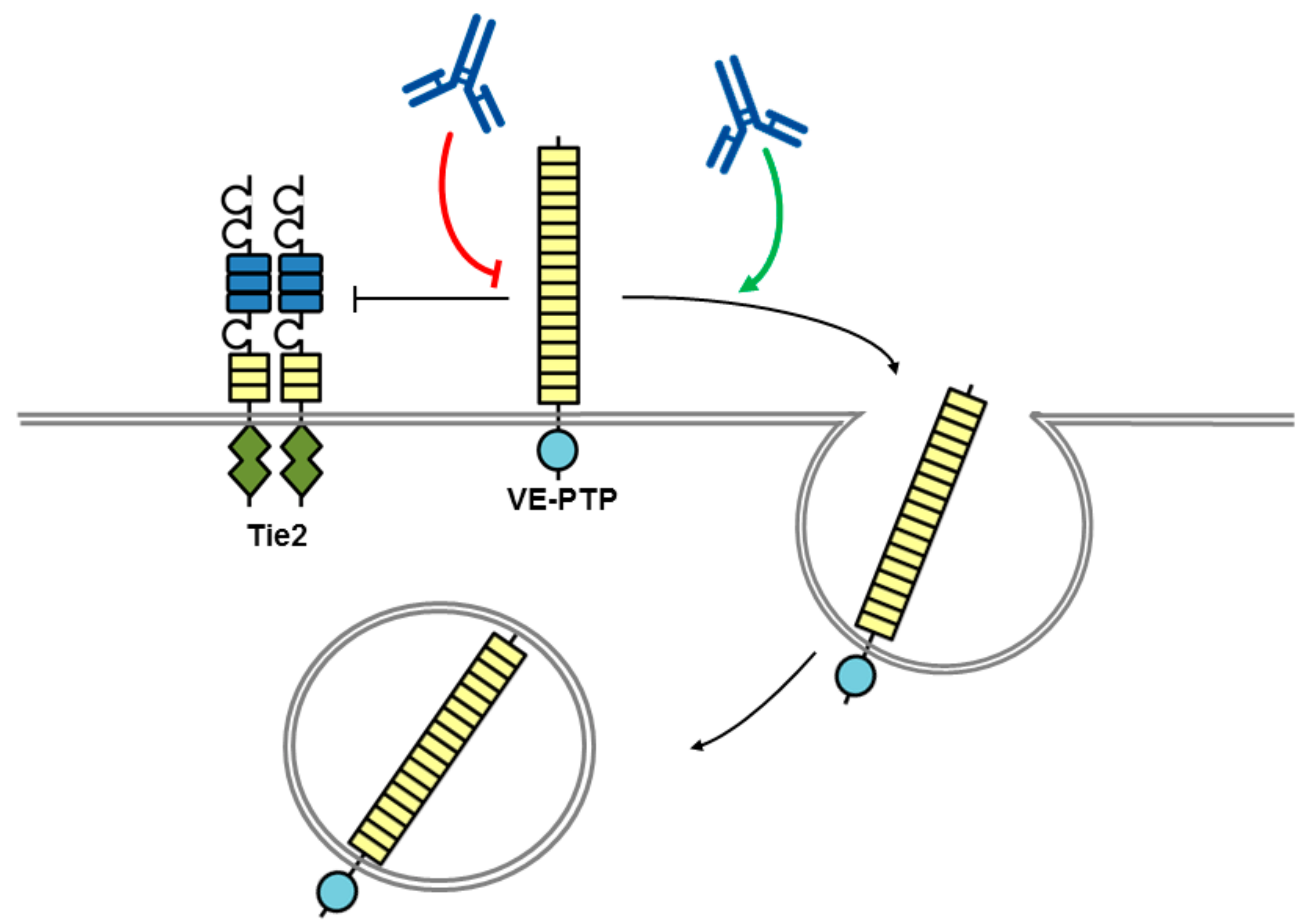 Molecules 23 00569 g003