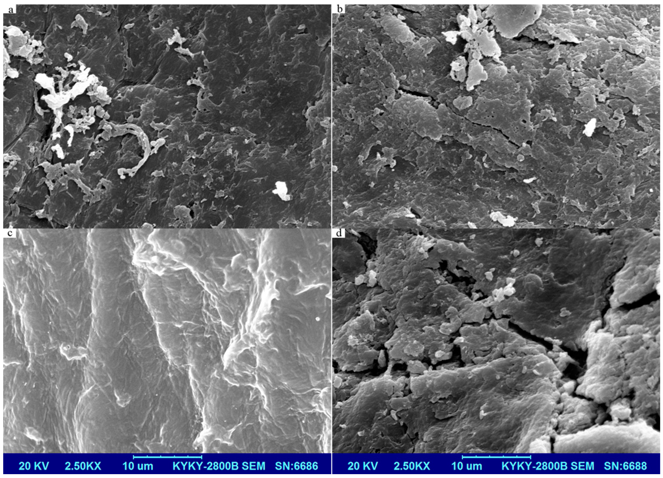 Molecules 23 00594 g004