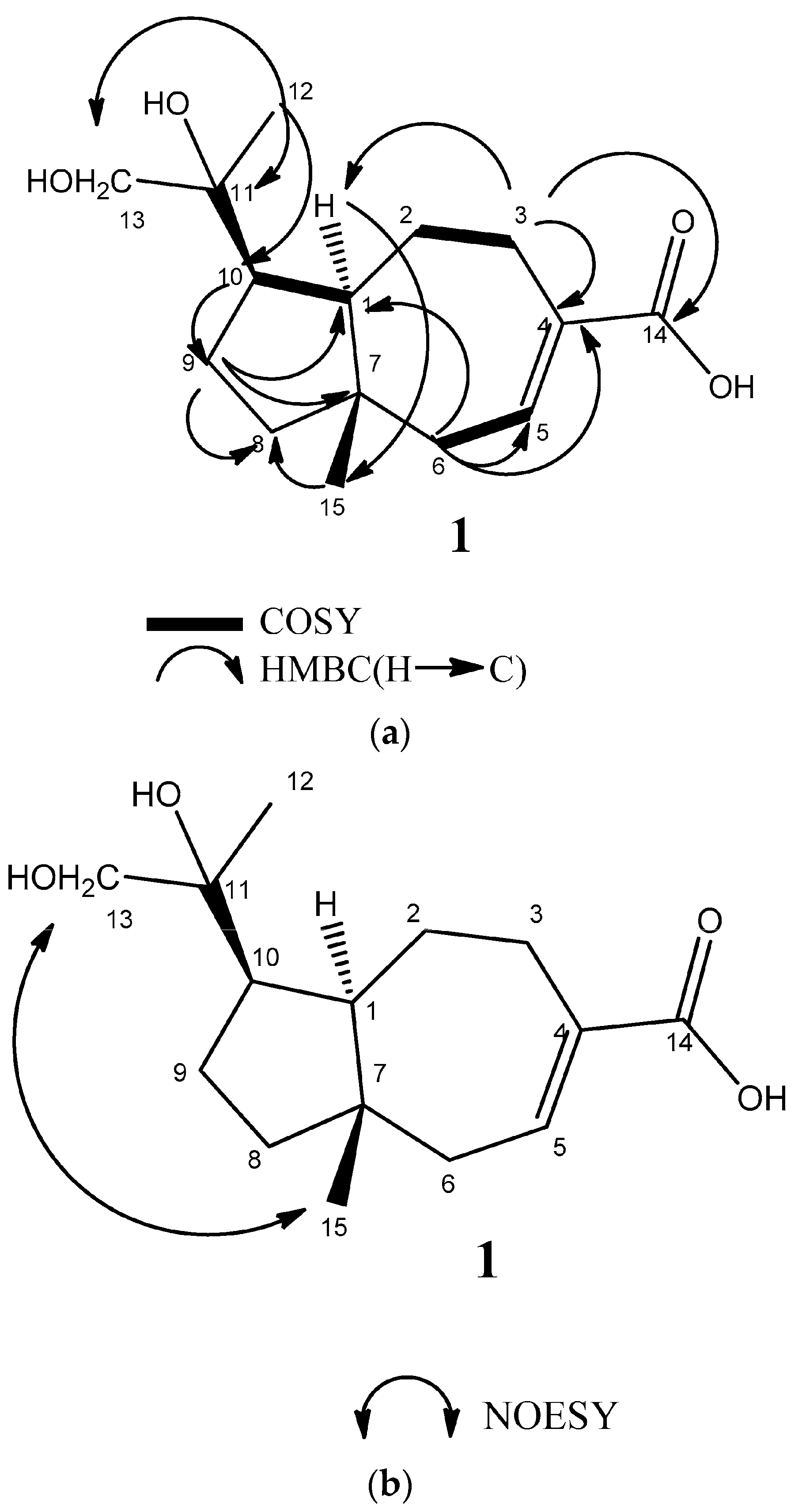 Molecules 23 00604 g002