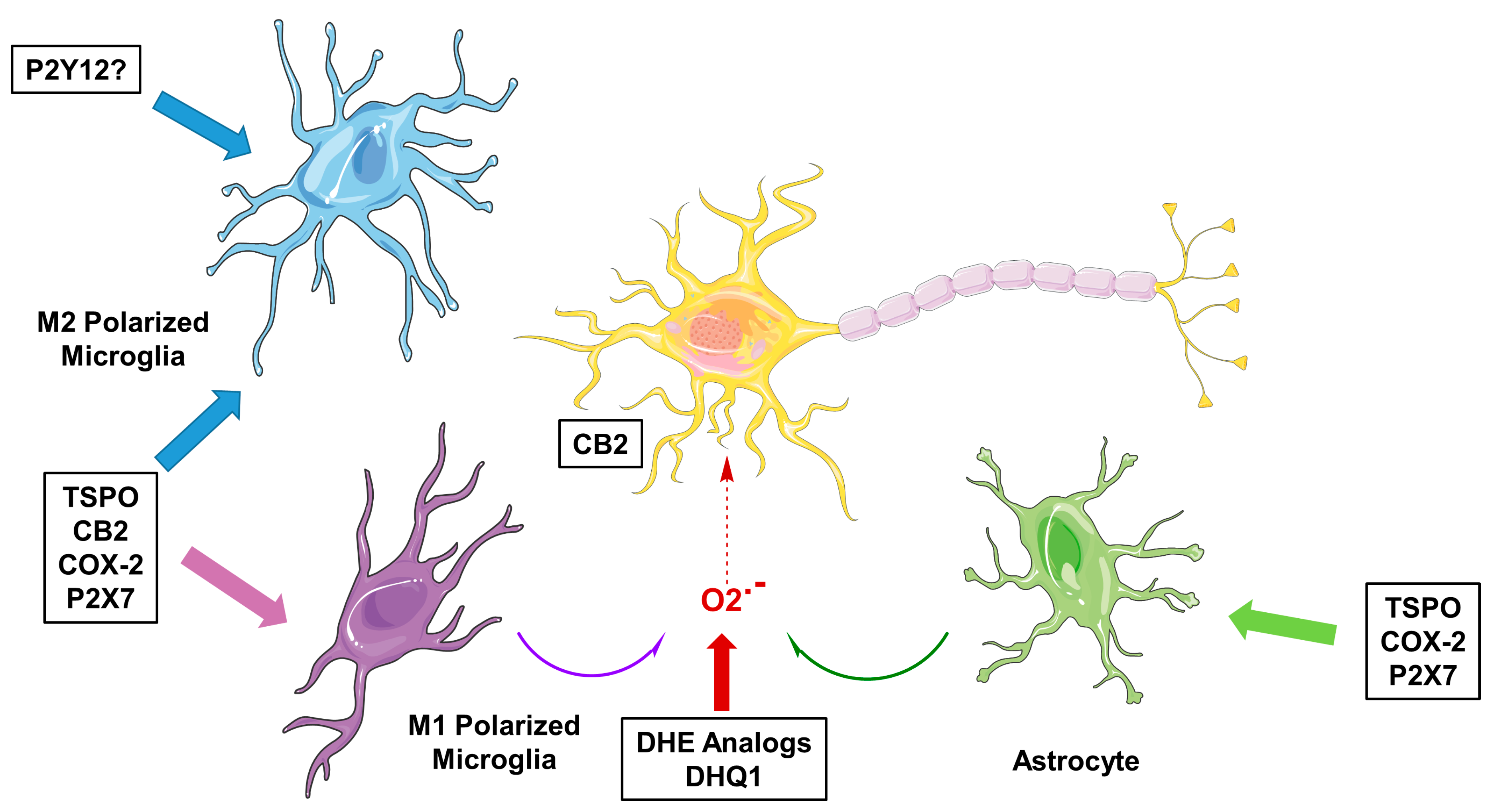 Molecules 23 00607 g001