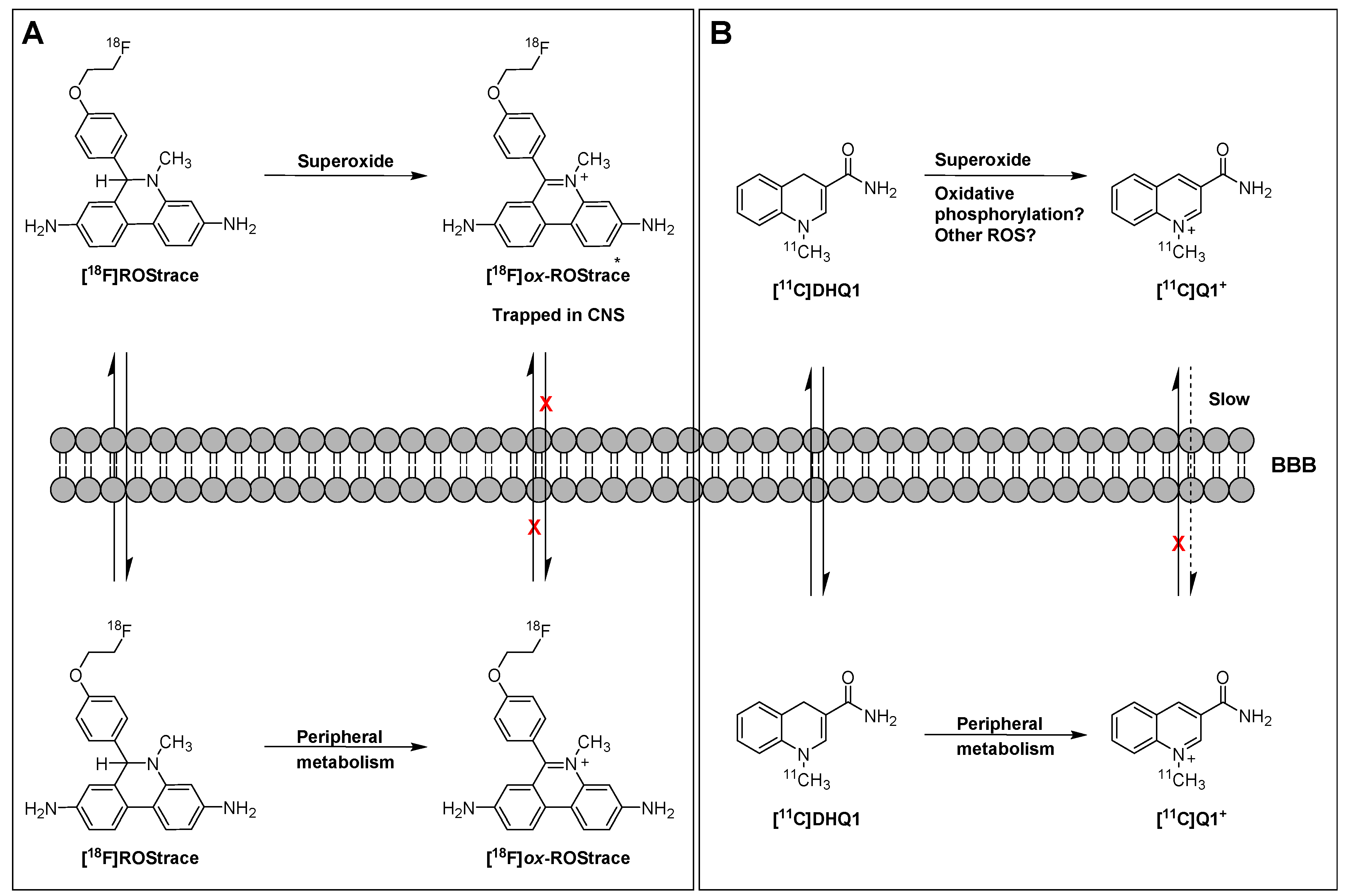 Molecules 23 00607 g007