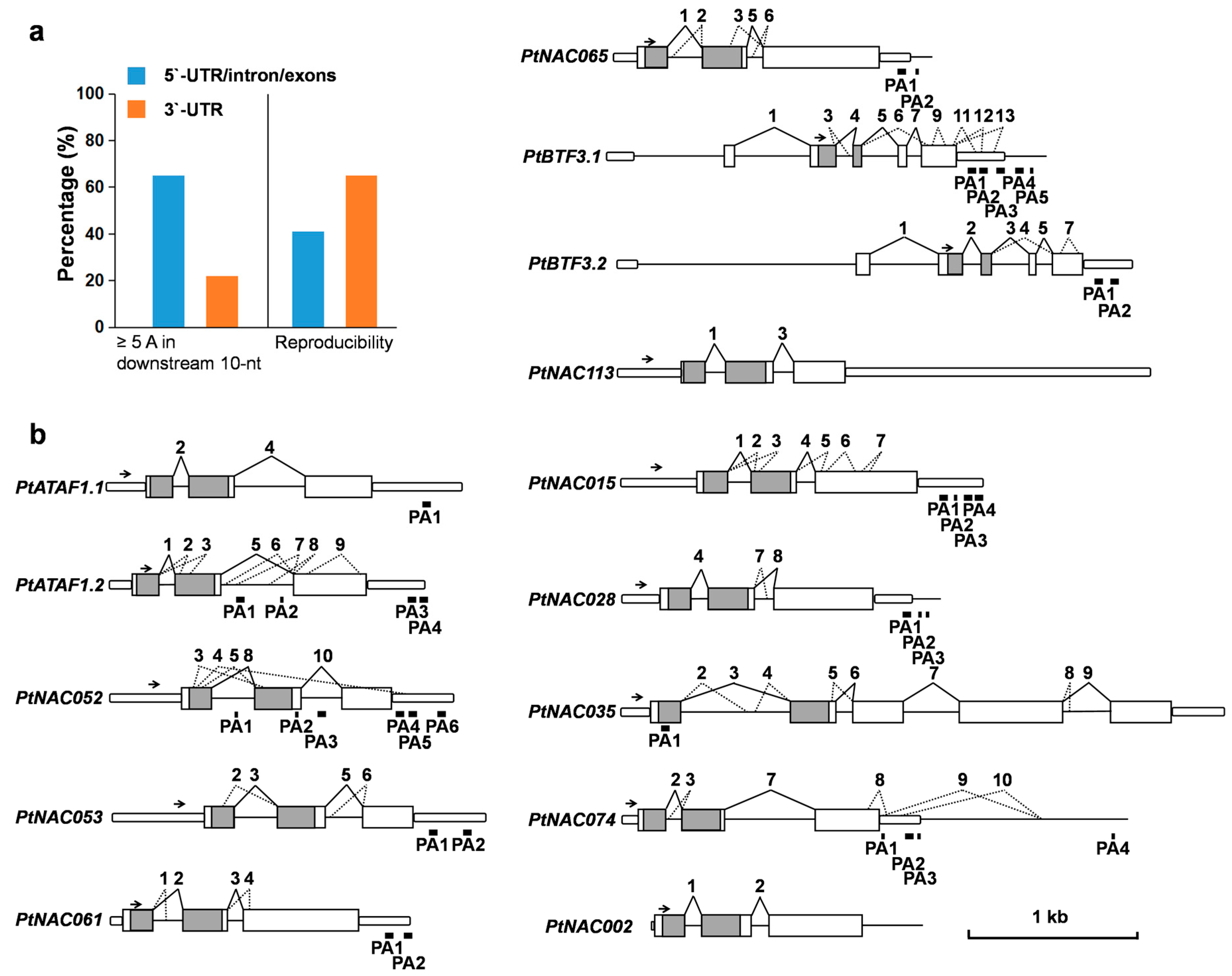 Molecules 23 00608 g004