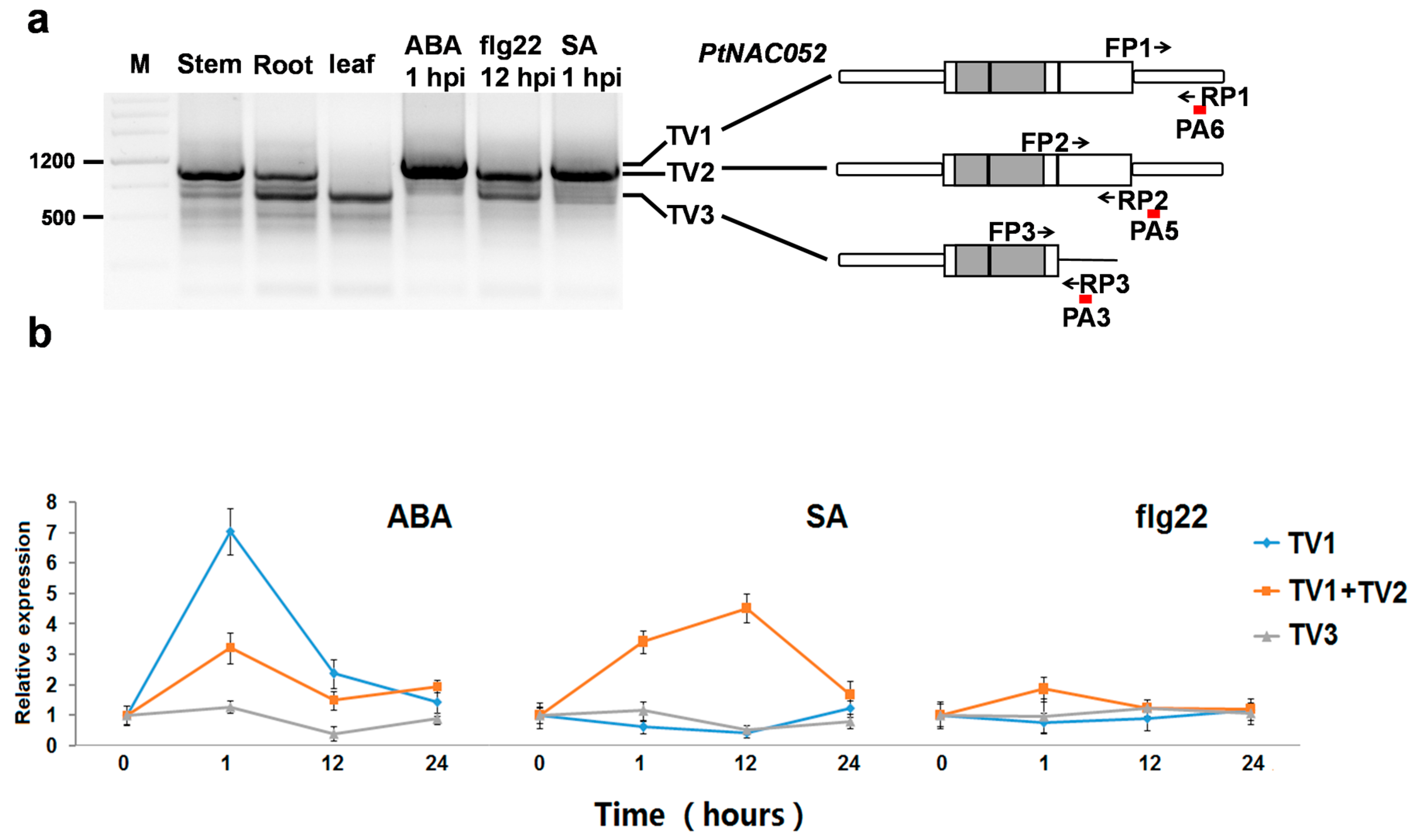Molecules 23 00608 g005
