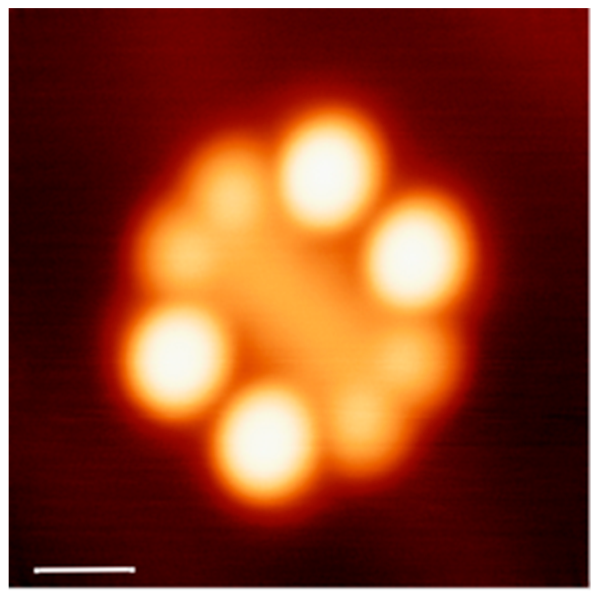 Molecules 23 00612 g006 Molecules 23 00612 g006