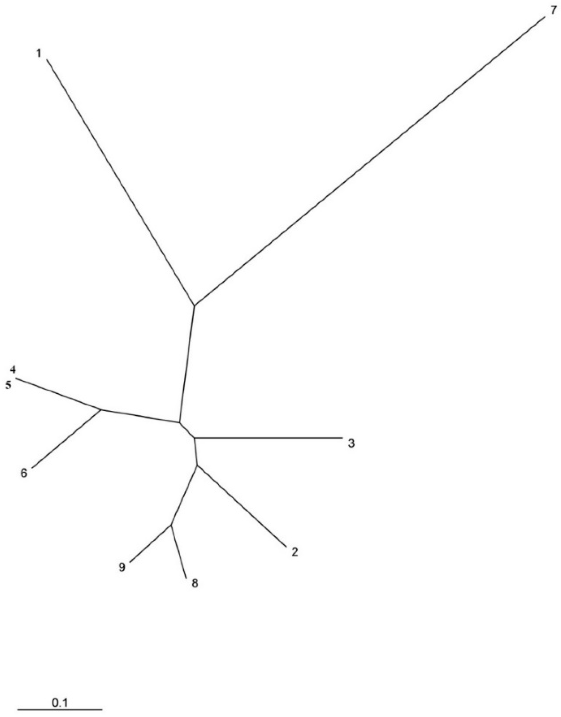 Molecules 23 00613 g001