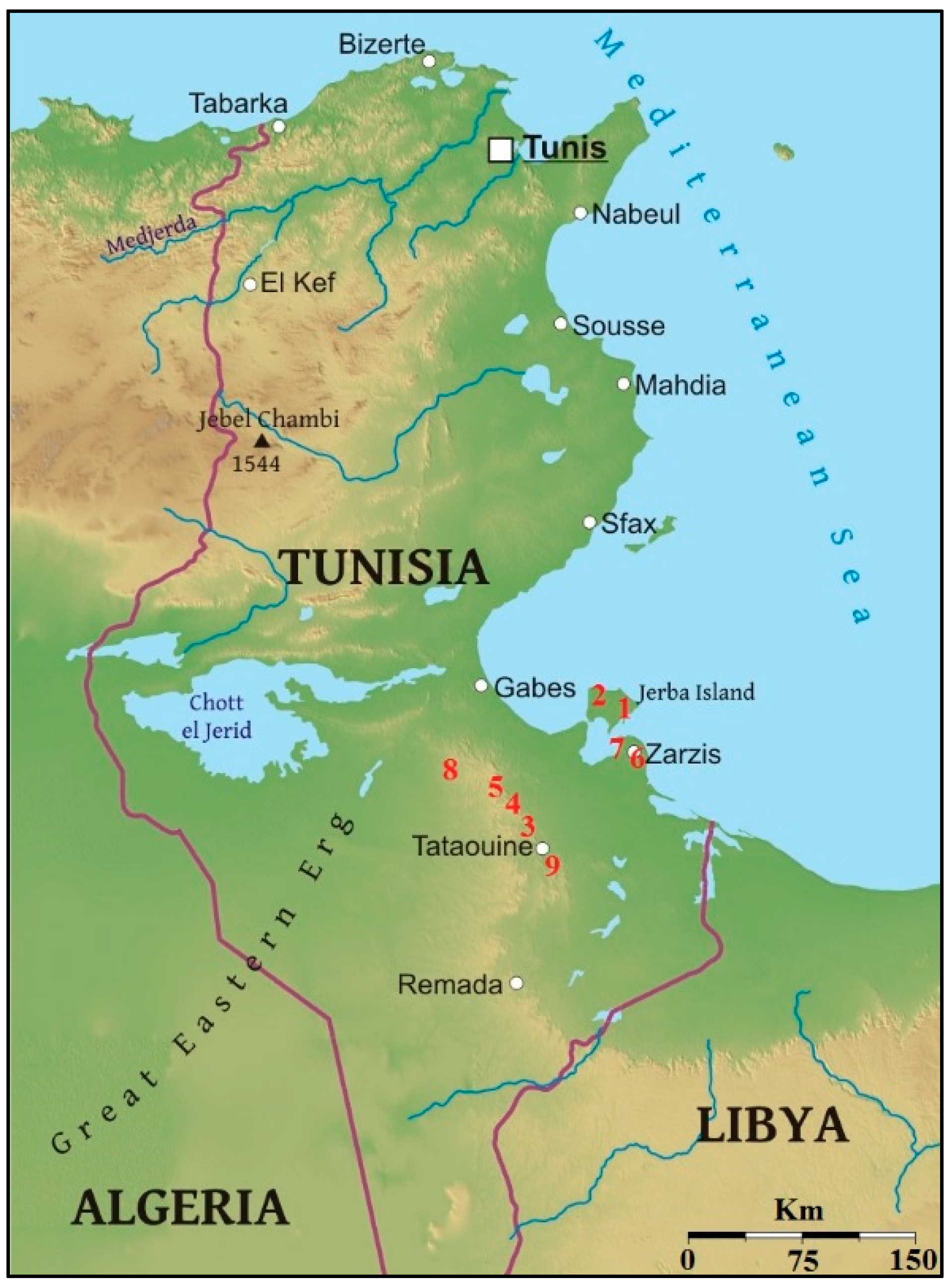 Озера туниса