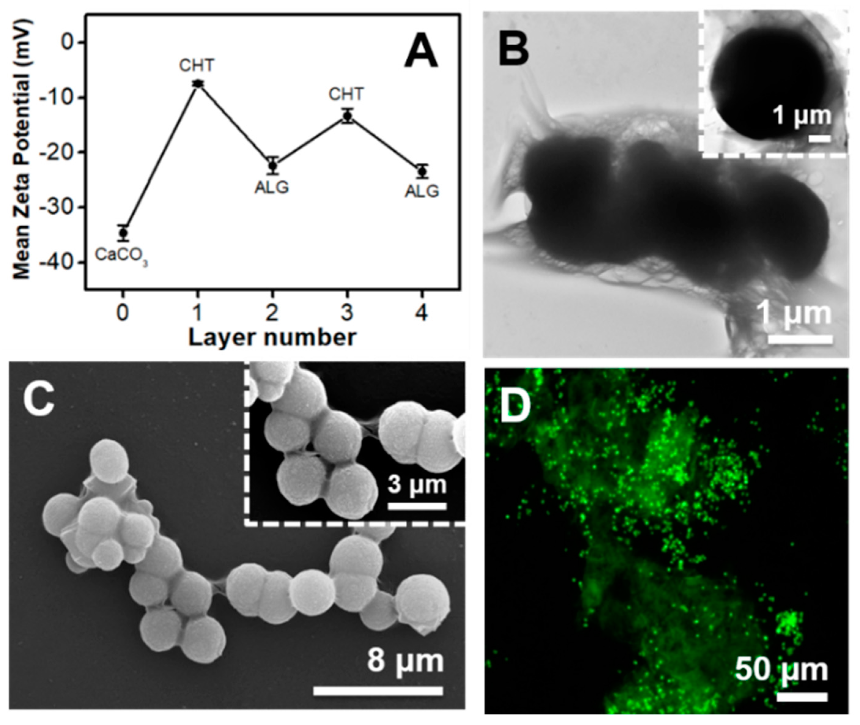 Molecules 23 00625 g002 550