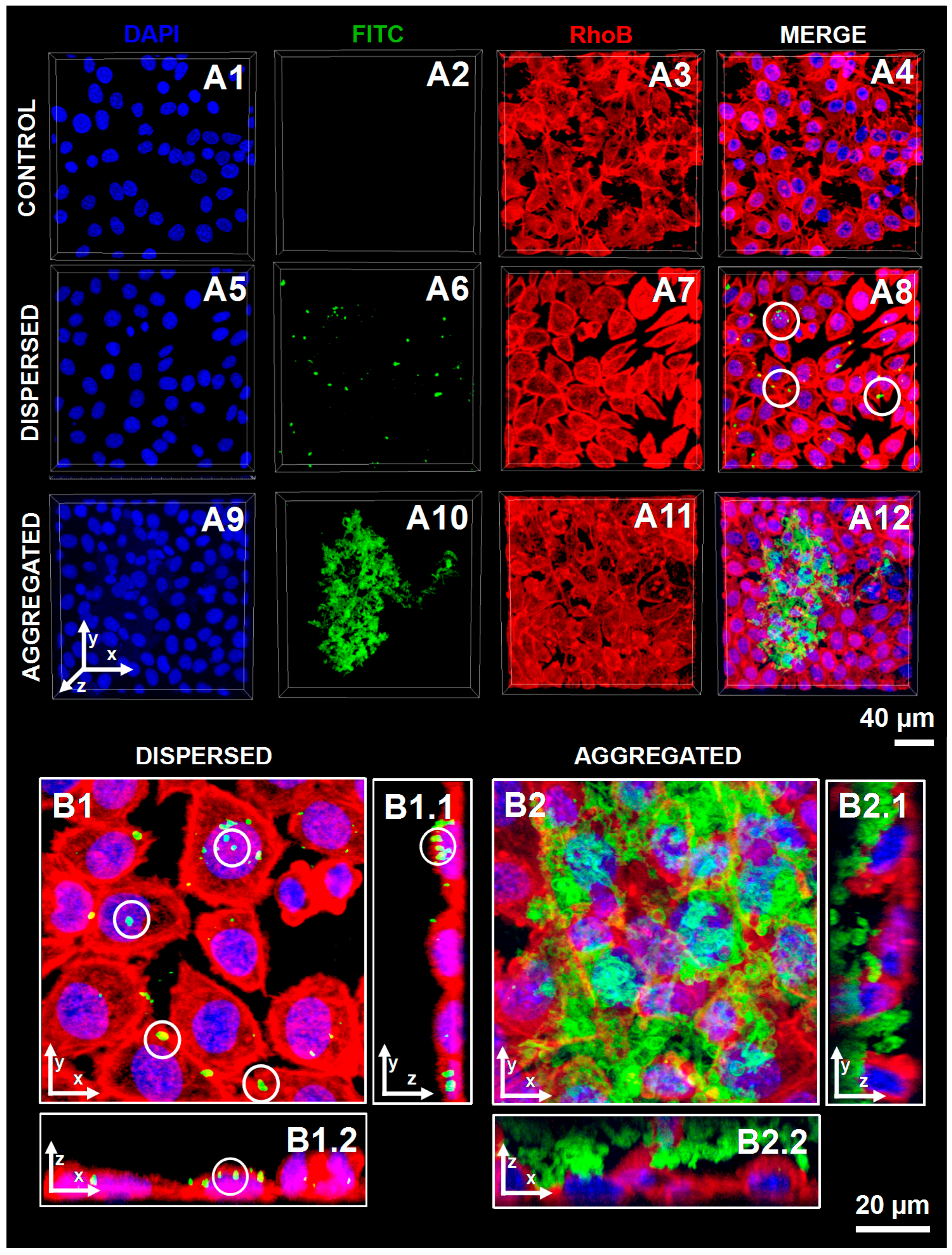 Molecules 23 00625 g004 550