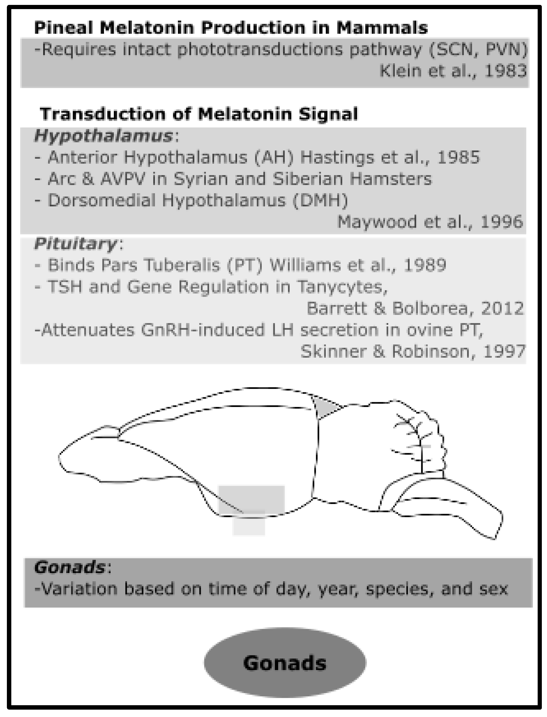 Molecules 23 00652 g005 Molecules 23 00652 g005