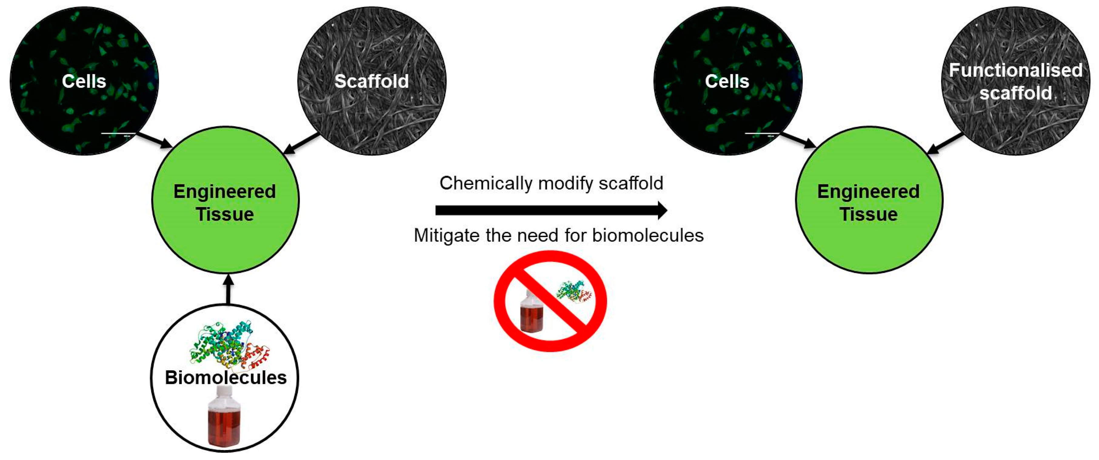 Molecules 23 00654 g002 Molecules 23 00654 g002