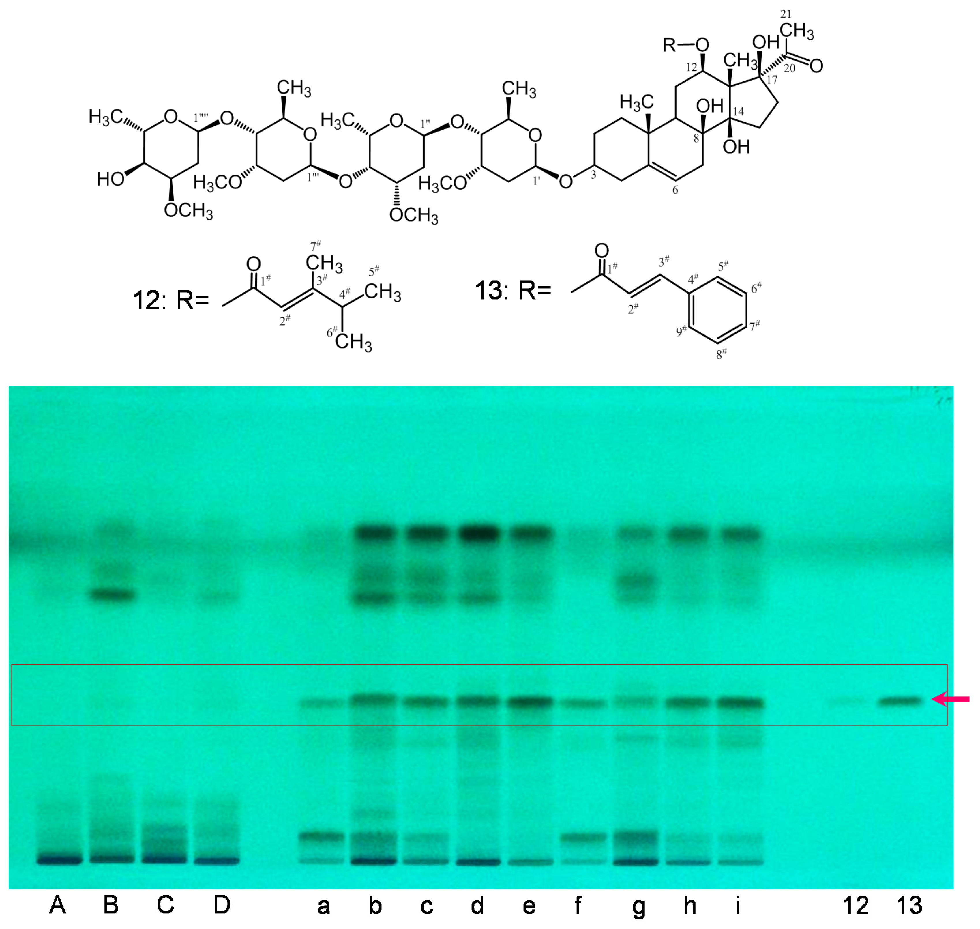 Molecules 23 00656 g006 Molecules 23 00656 g006