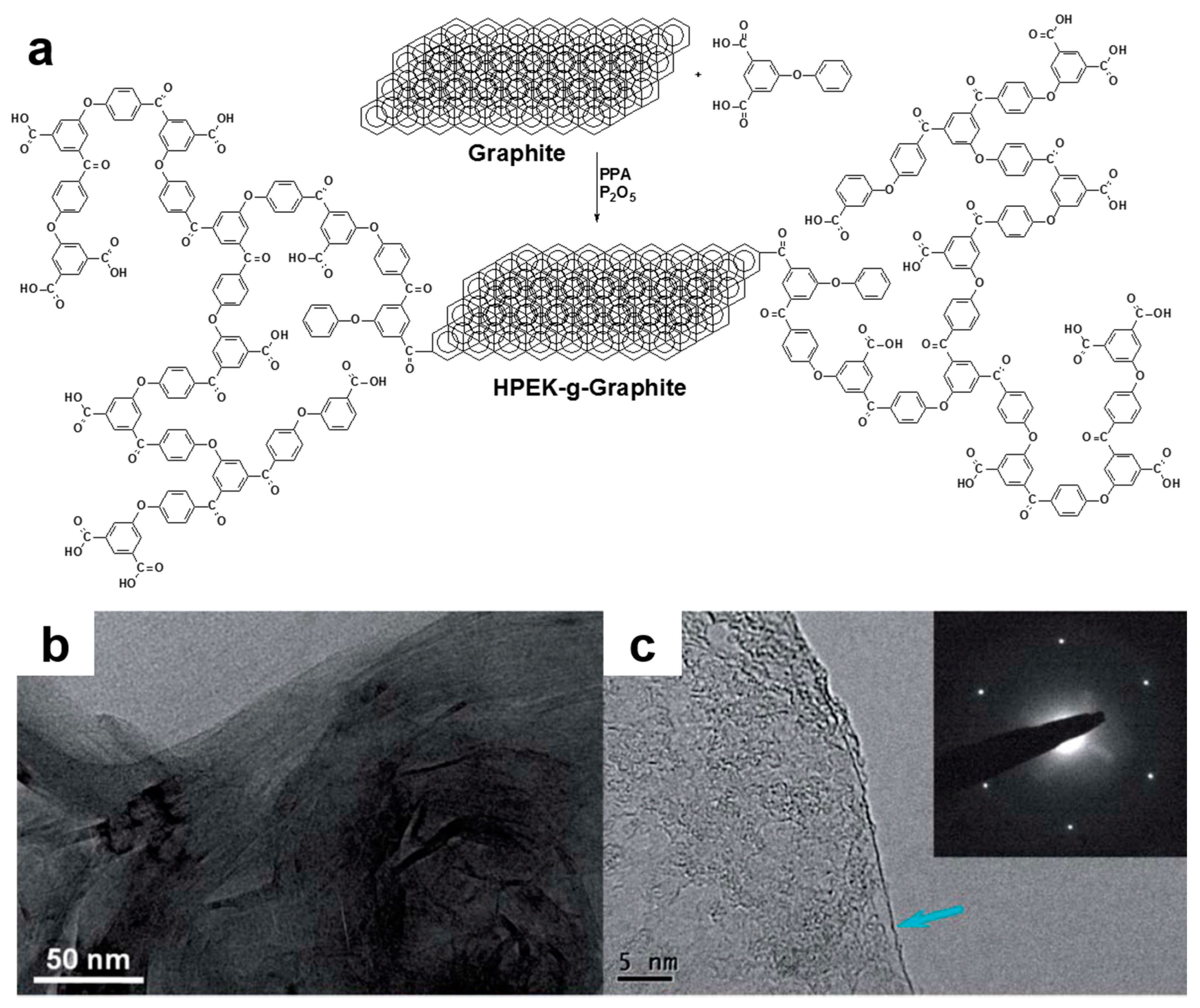 Molecules 23 00657 g009