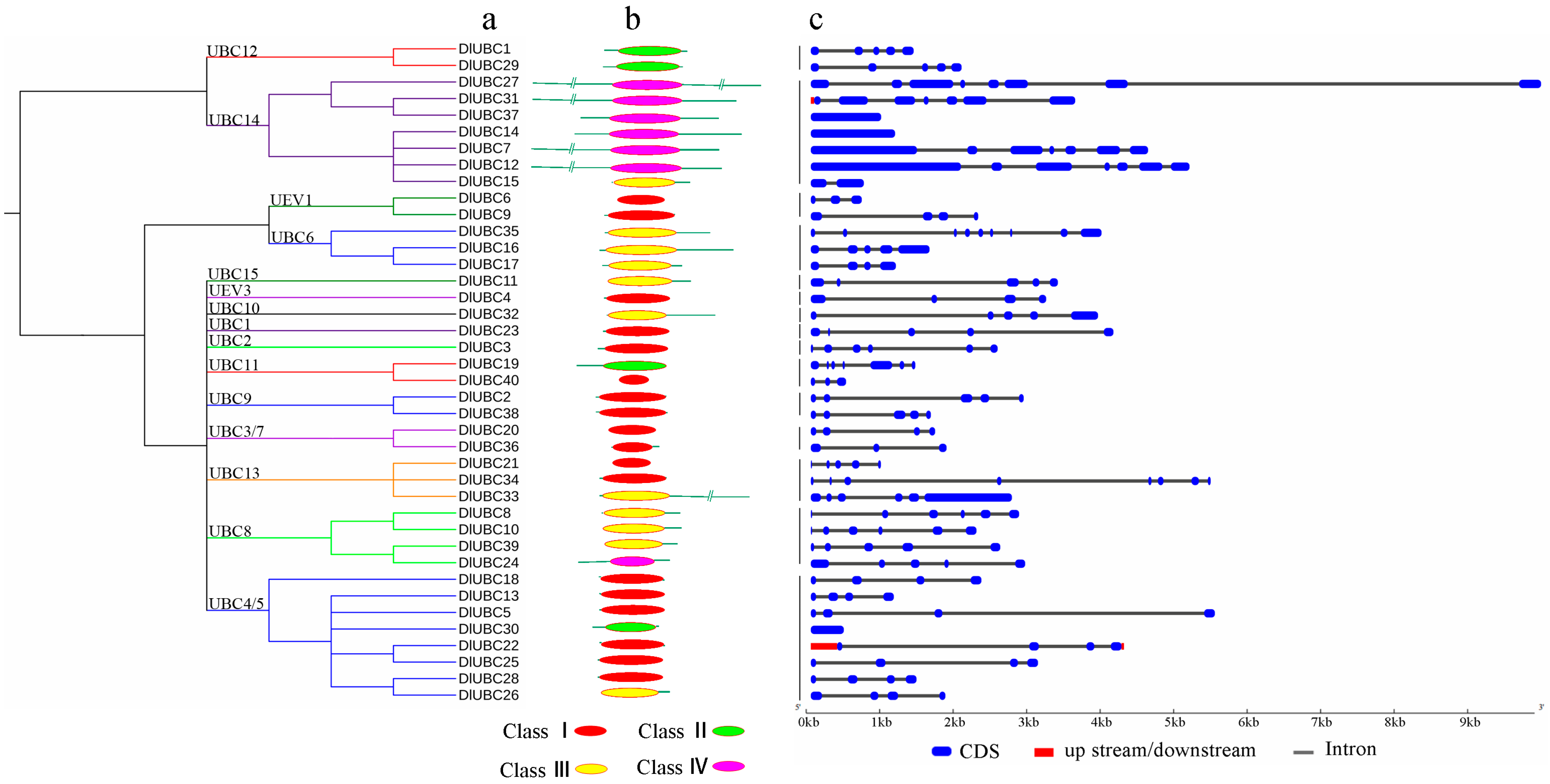 Molecules 23 00662 g001 Molecules 23 00662 g001