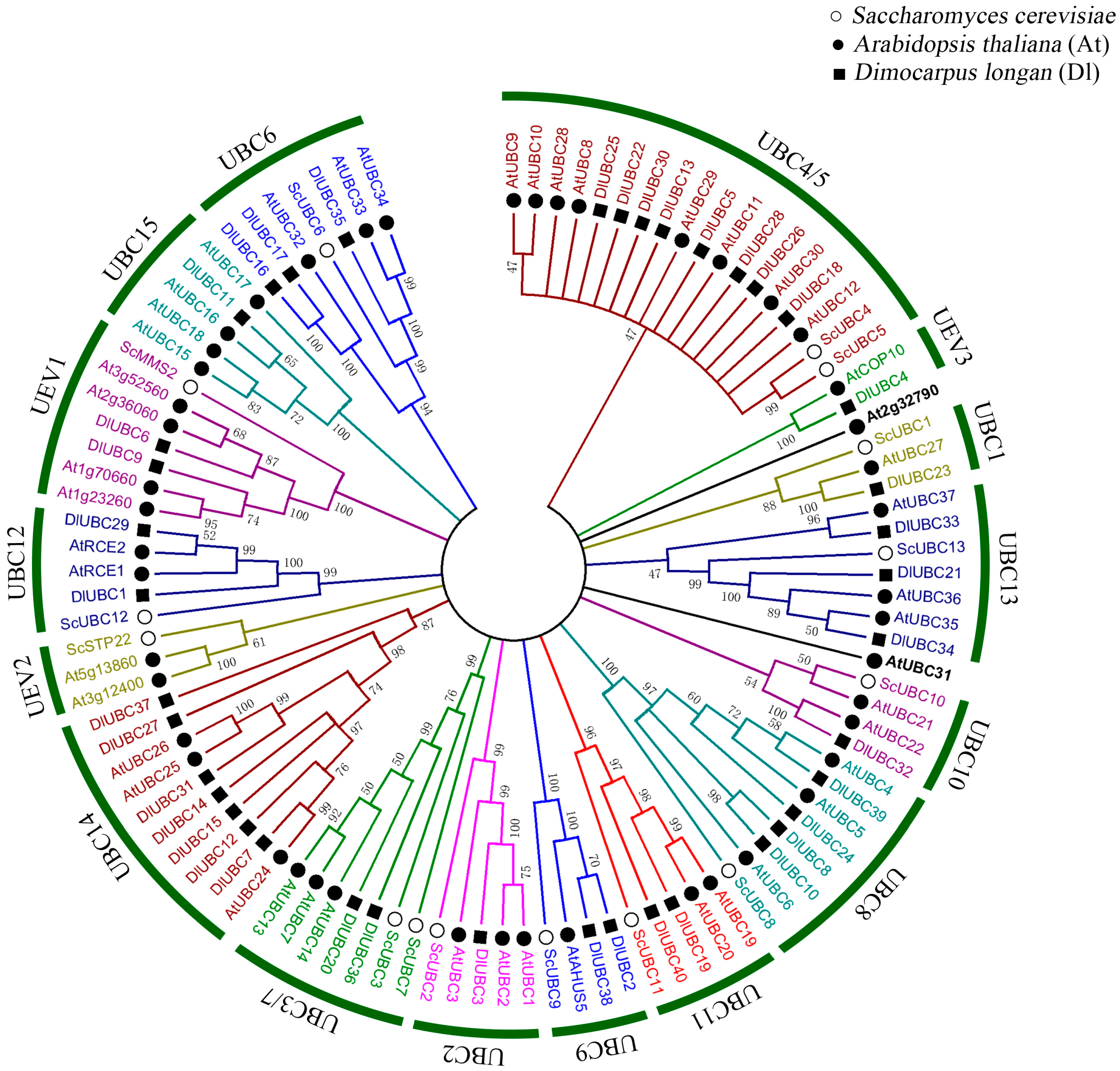 Molecules 23 00662 g002 Molecules 23 00662 g002