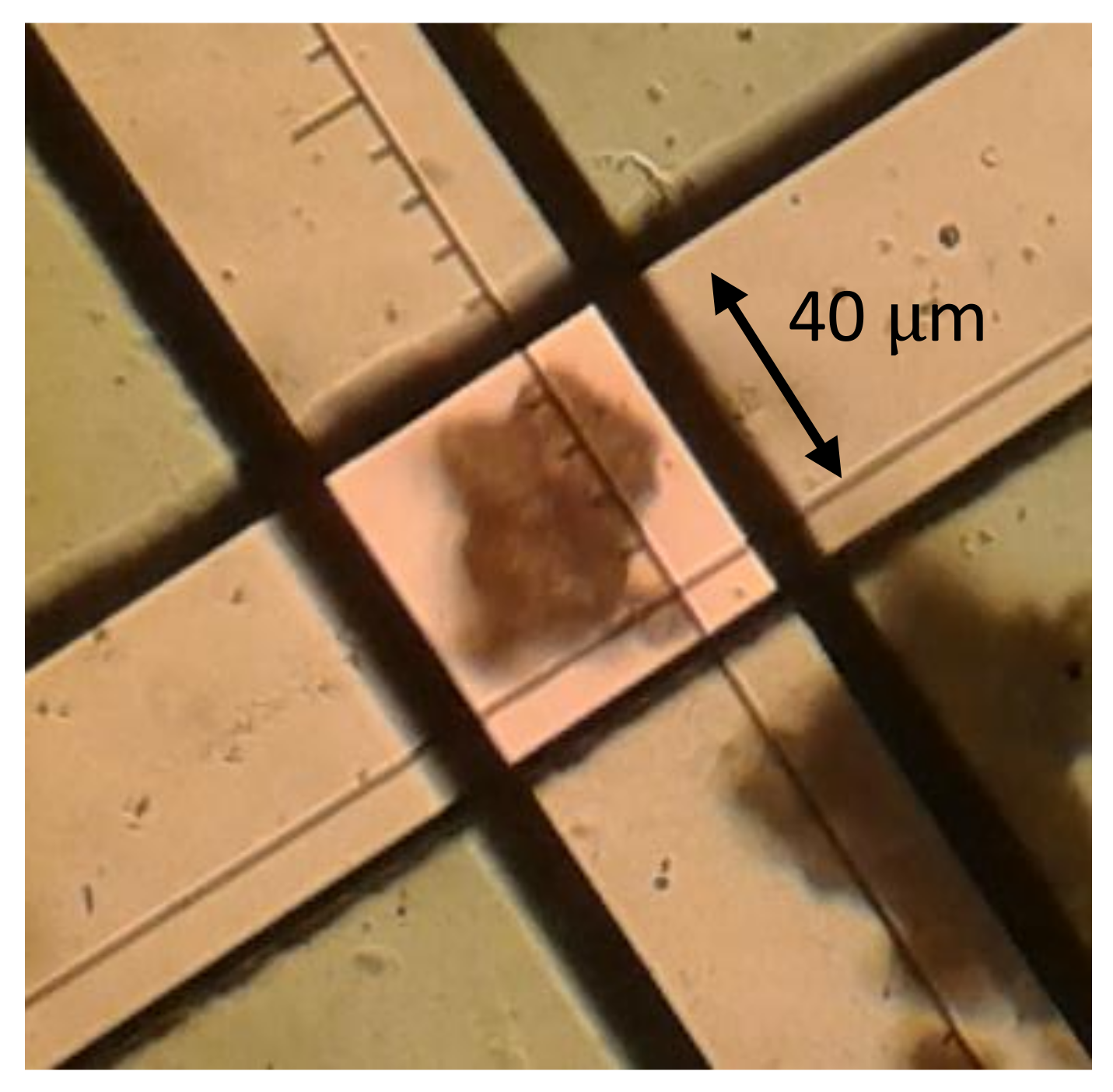 Molecules 23 00668 g009