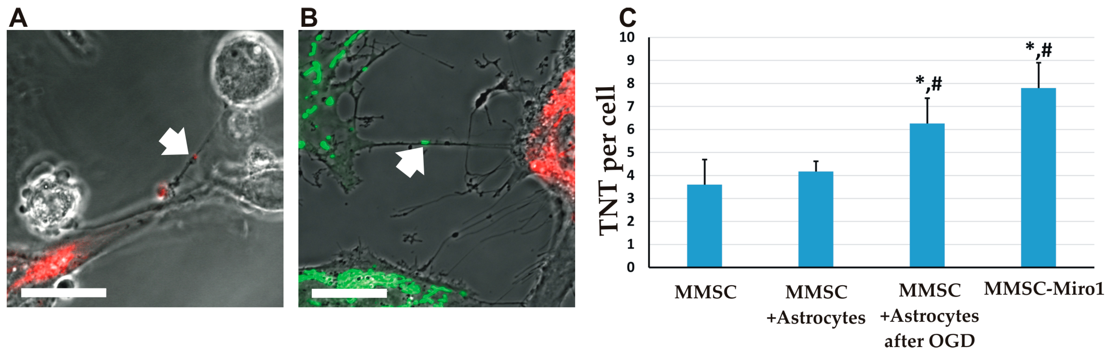 Molecules 23 00687 g002