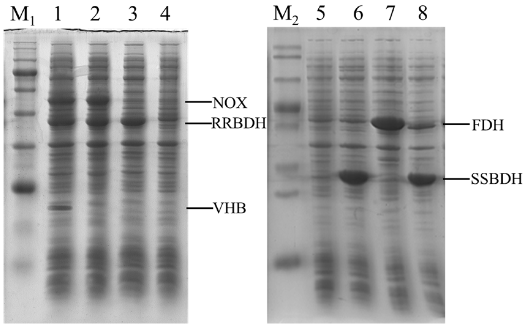 Molecules 23 00691 g002