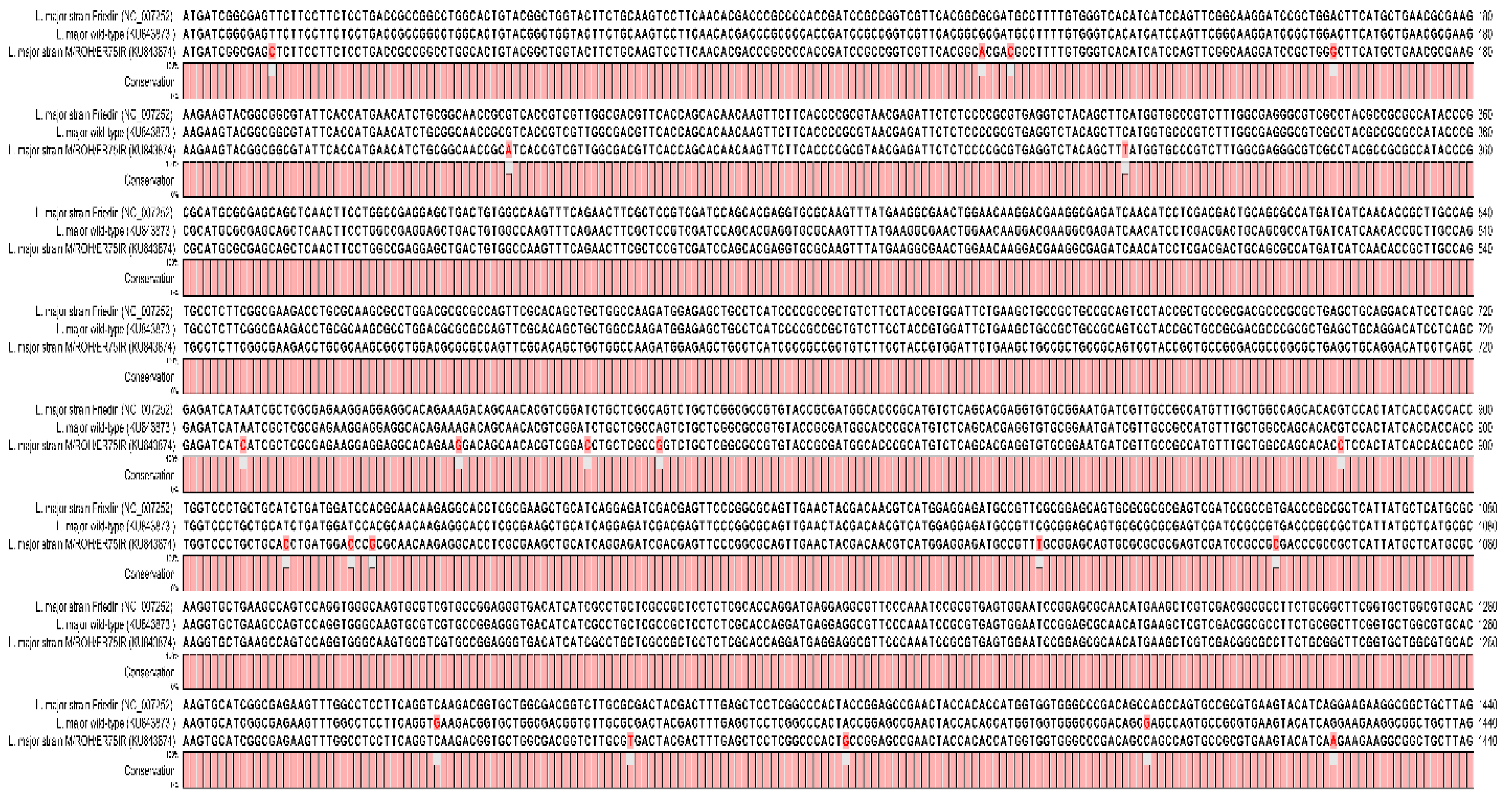 Molecules 23 00696 g002