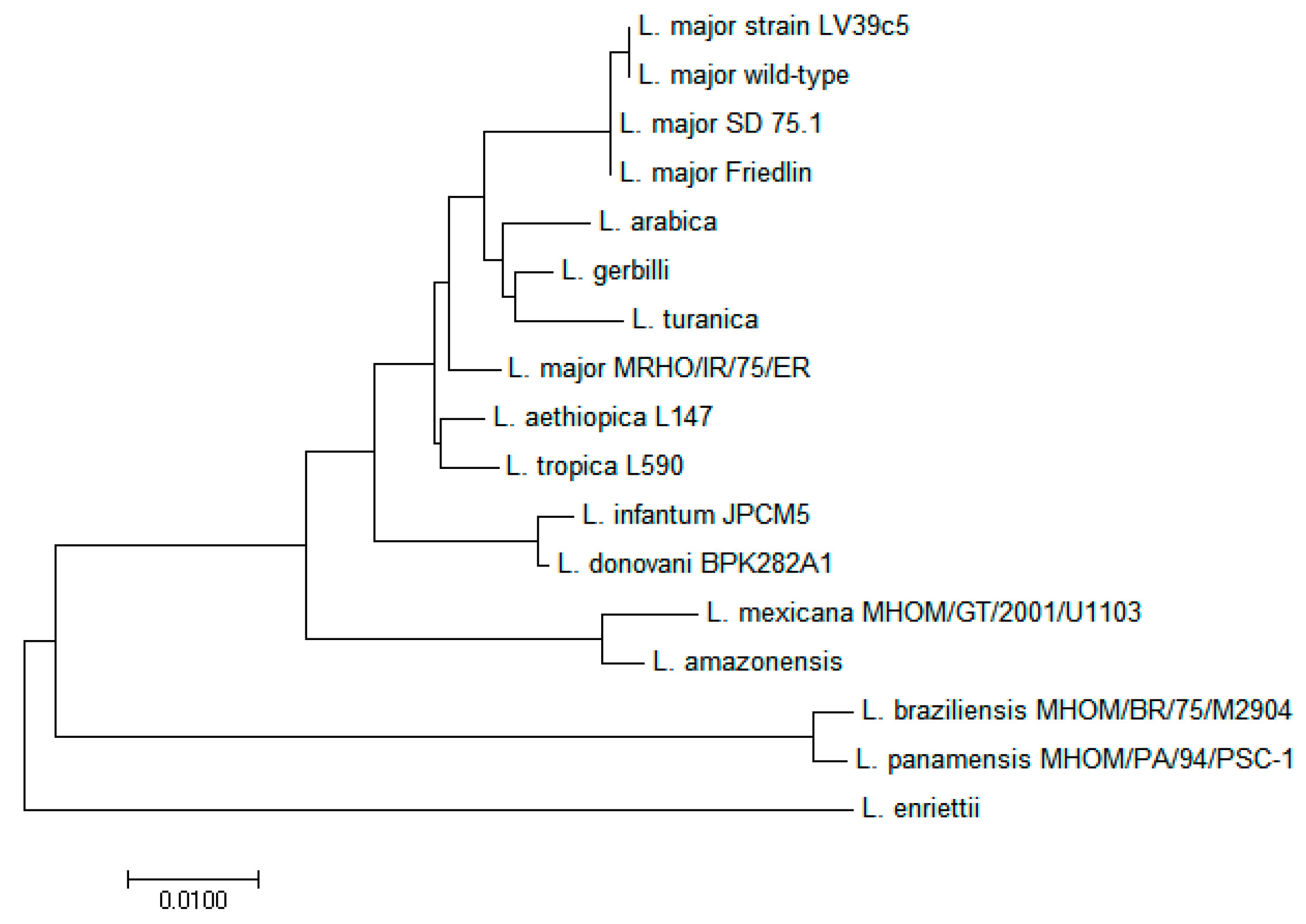 Molecules 23 00696 g003